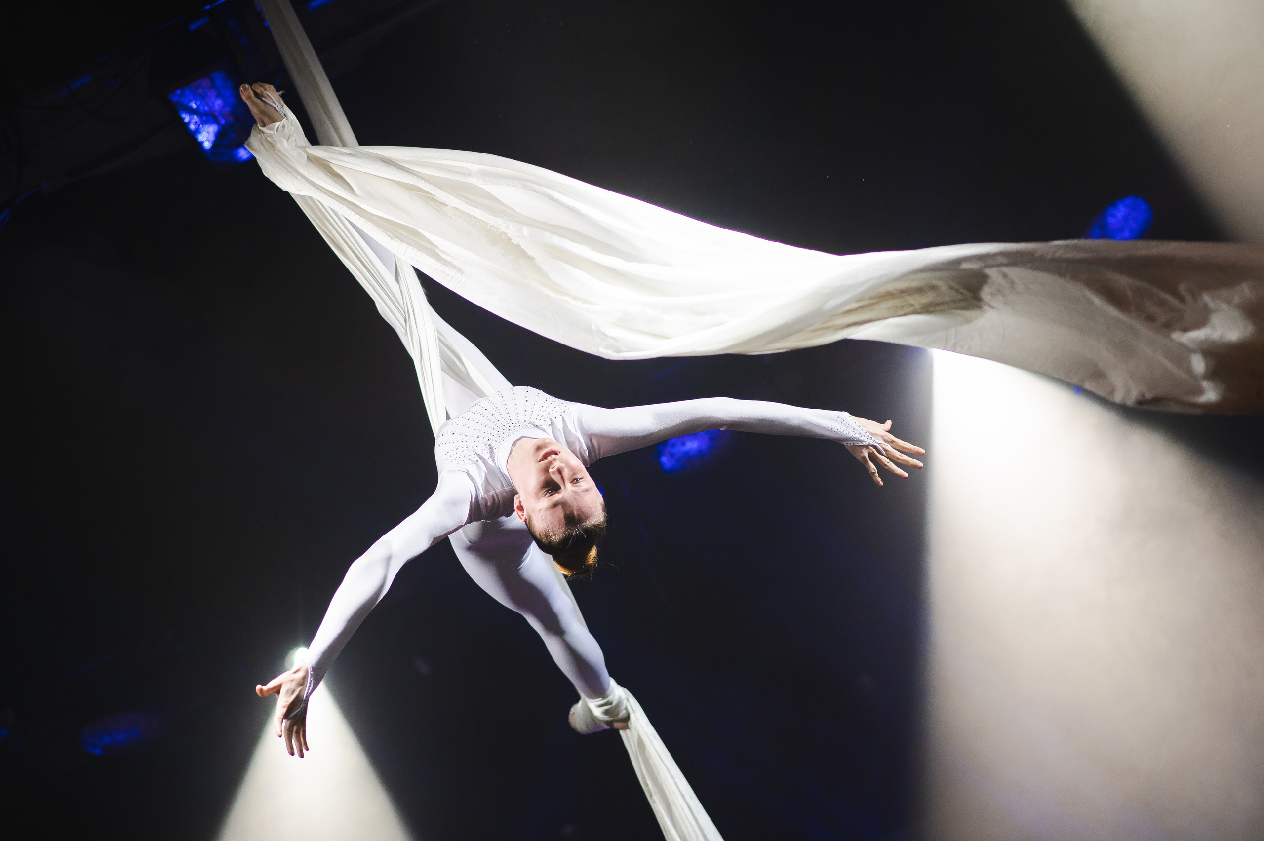 «Штрихи одного рисунка», Позитифф. SASHA SKETCHER