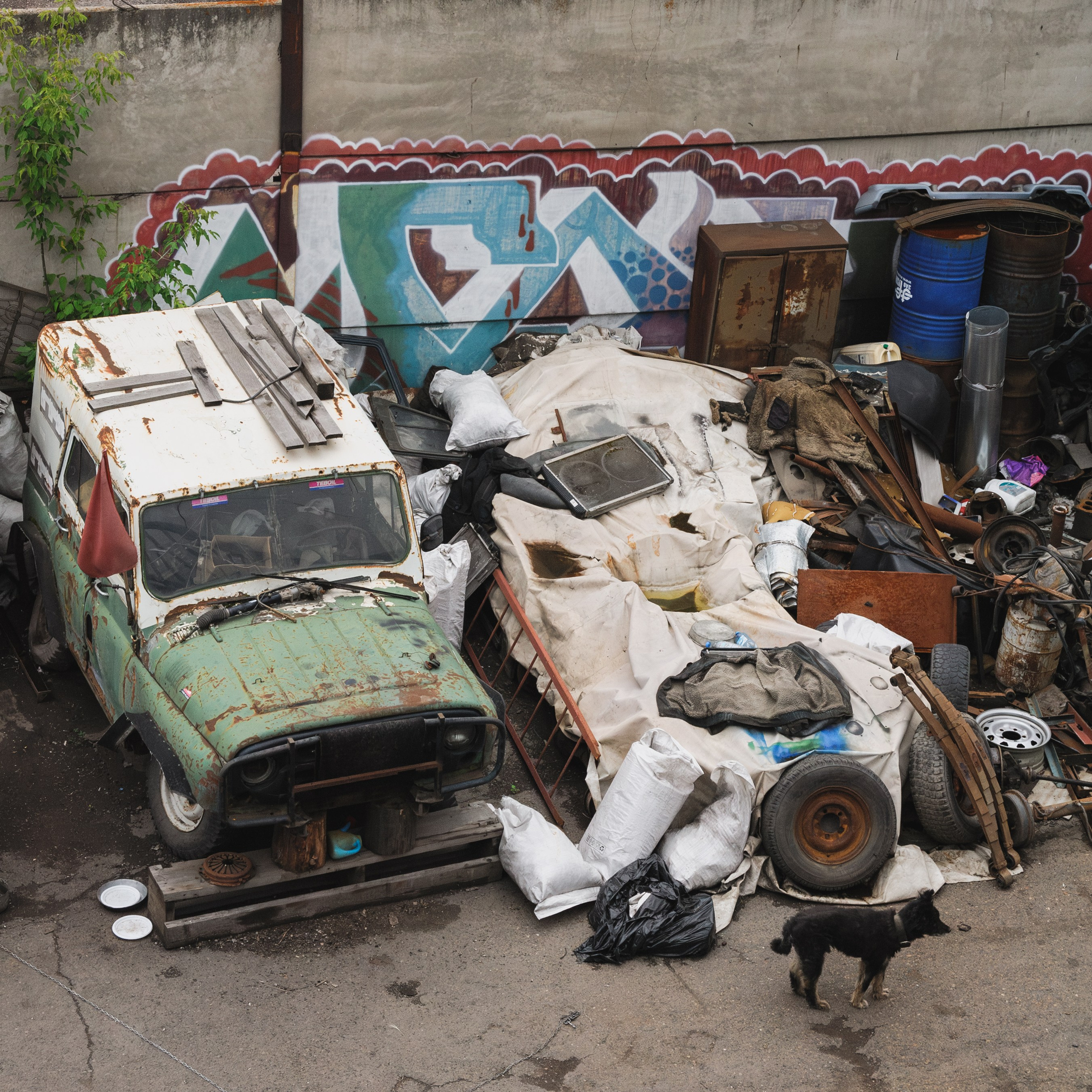 Гуляю то тут то там. Photographer Alik Melkonyan