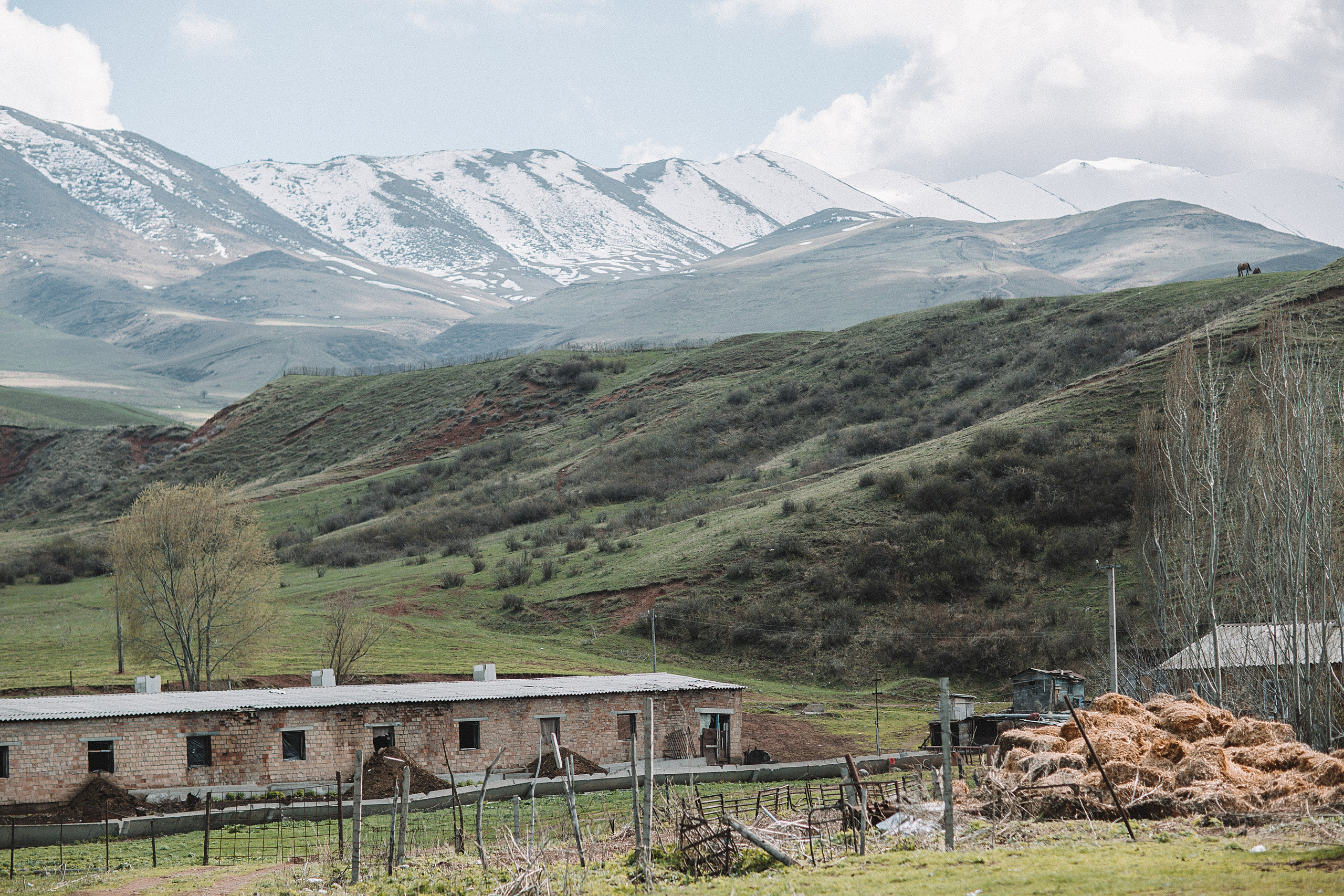 Семейная фотосессия в горах. Свадебный и семейный фотограф/видеограф в Краснодаре Наталья Осинская