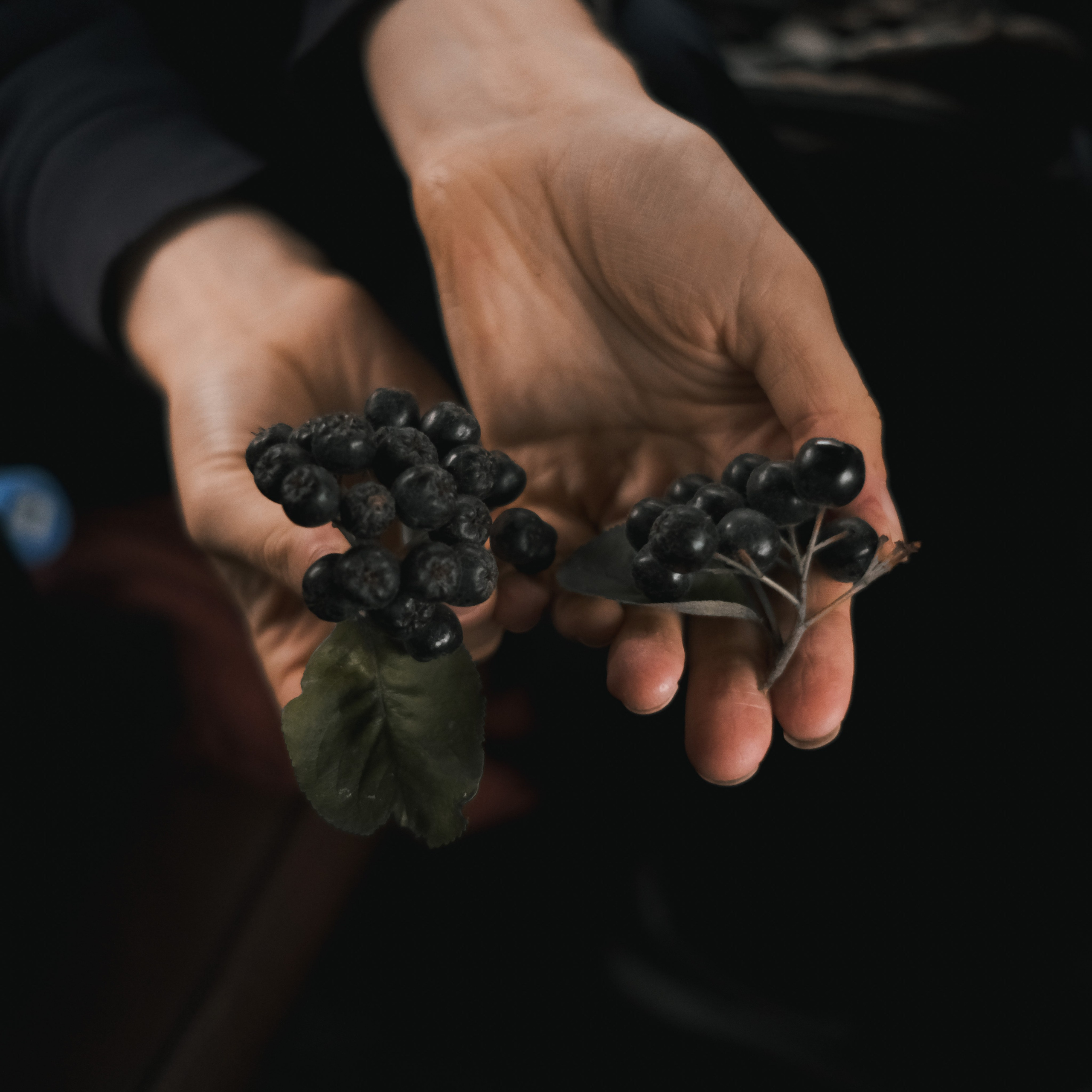 Эко-фестиваль АртЛуга 2022. LIYALEE PHOTO