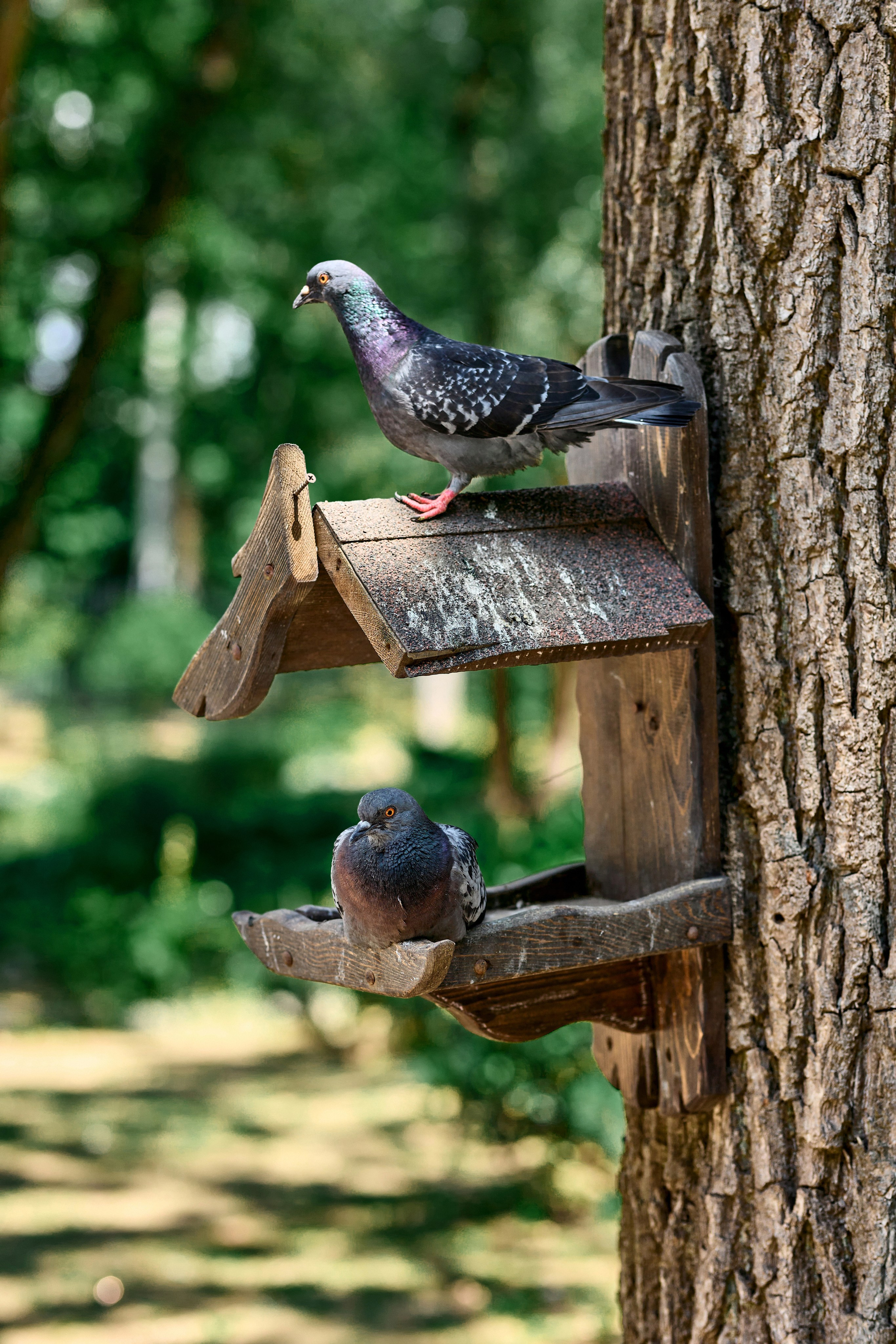 Свадебная фотосессия в Туле и прогулка в Платоновском парке