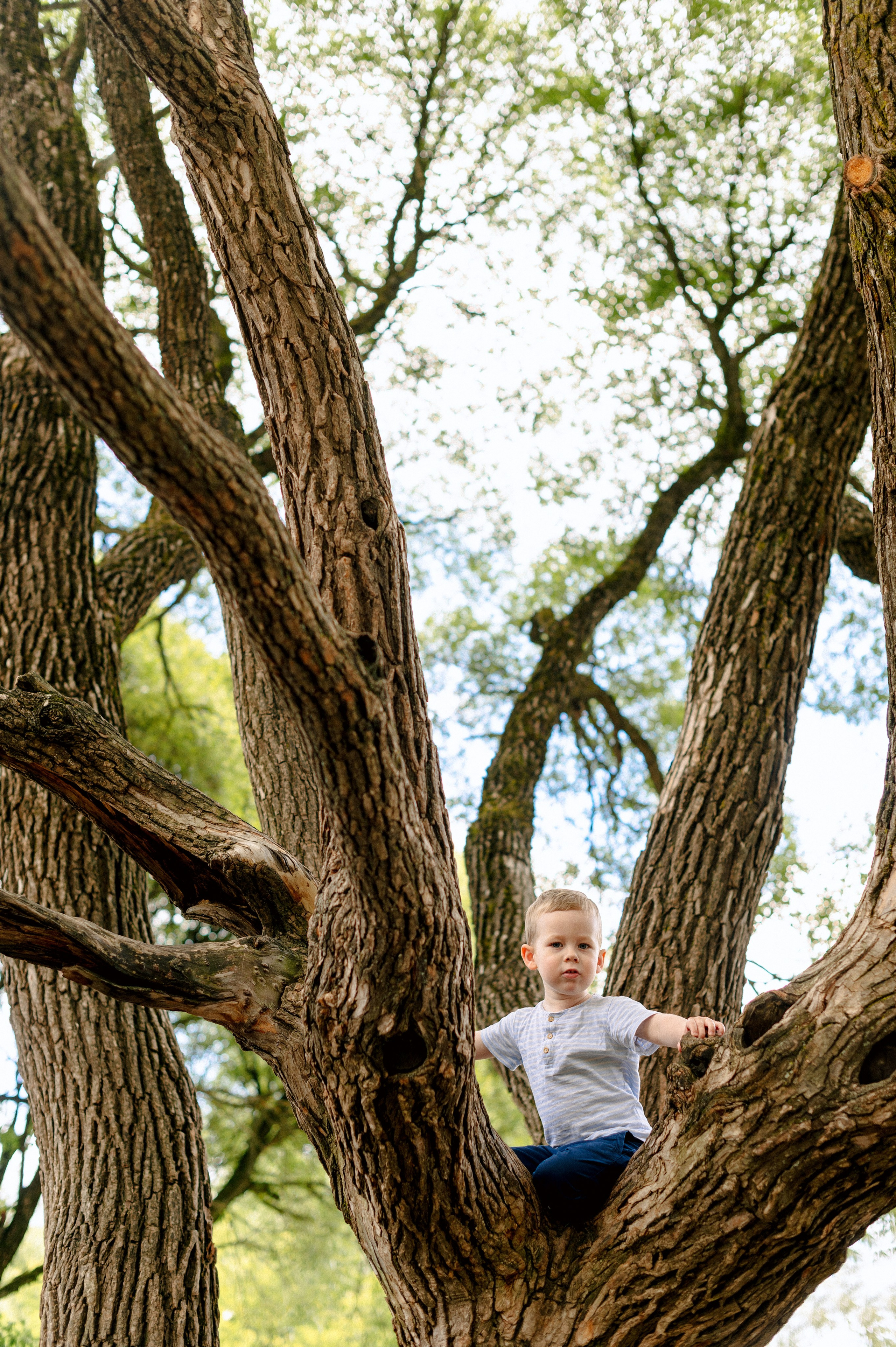 МНОГО ВЕТОЧЕК. Шашкова Вероника / Свадебный и семейный фотограф Москва и Ярославль