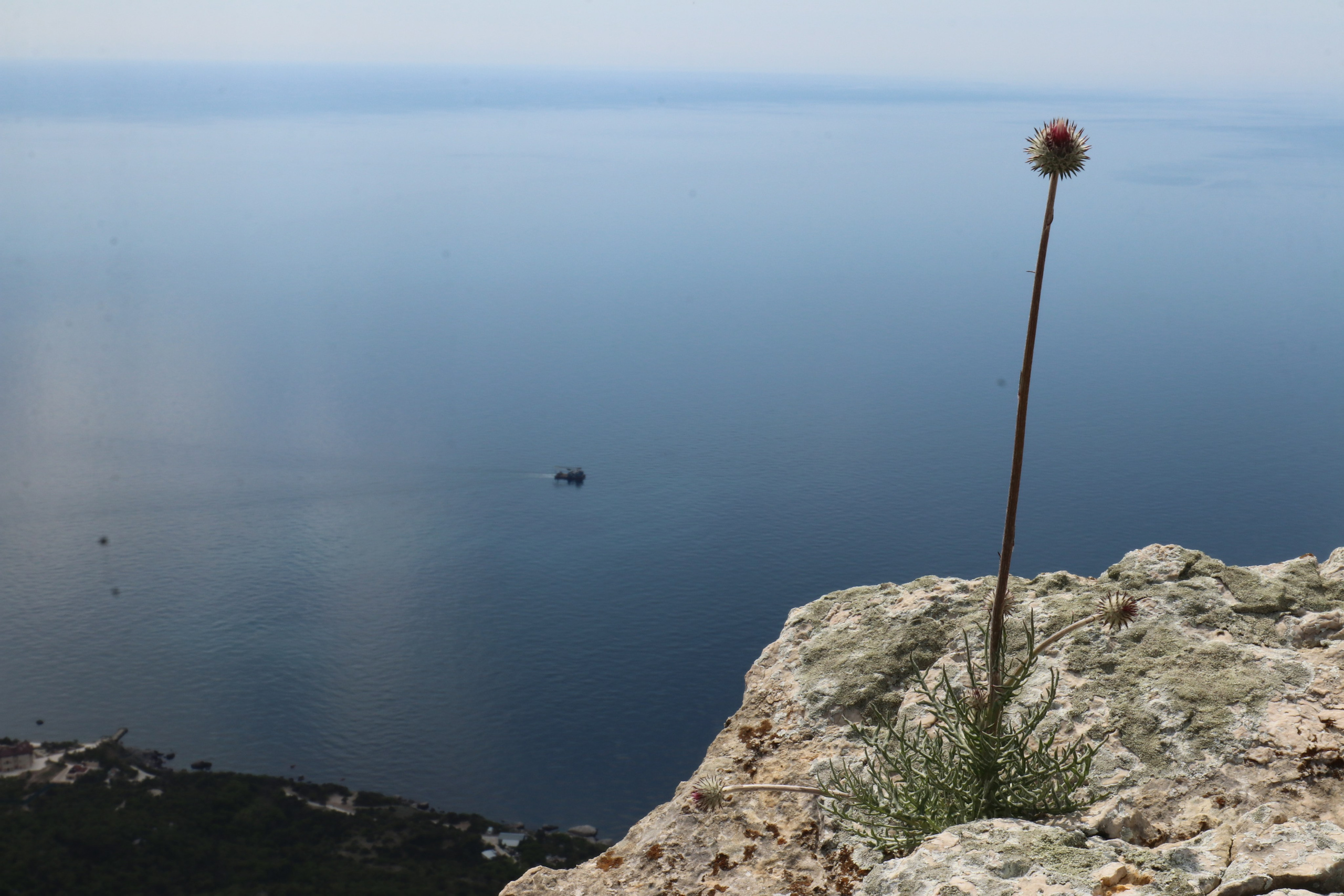 Крым. ЮБК (Севастополь, Кастрополь, Ялта). Май 2023. Путешественник-фотограф из Санкт-Петербурга Татьяна Свистулина