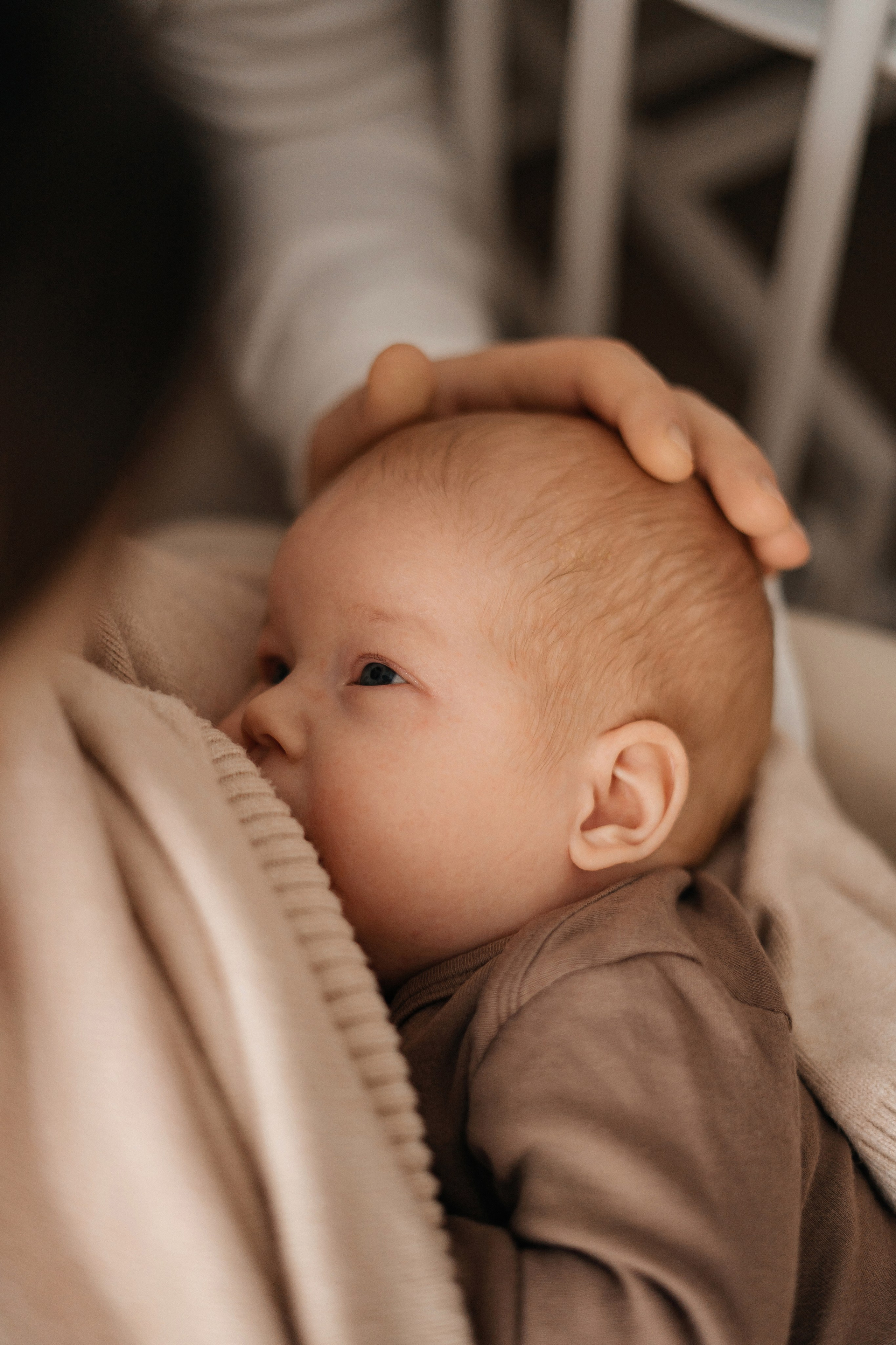 Первый Новый год. Главная