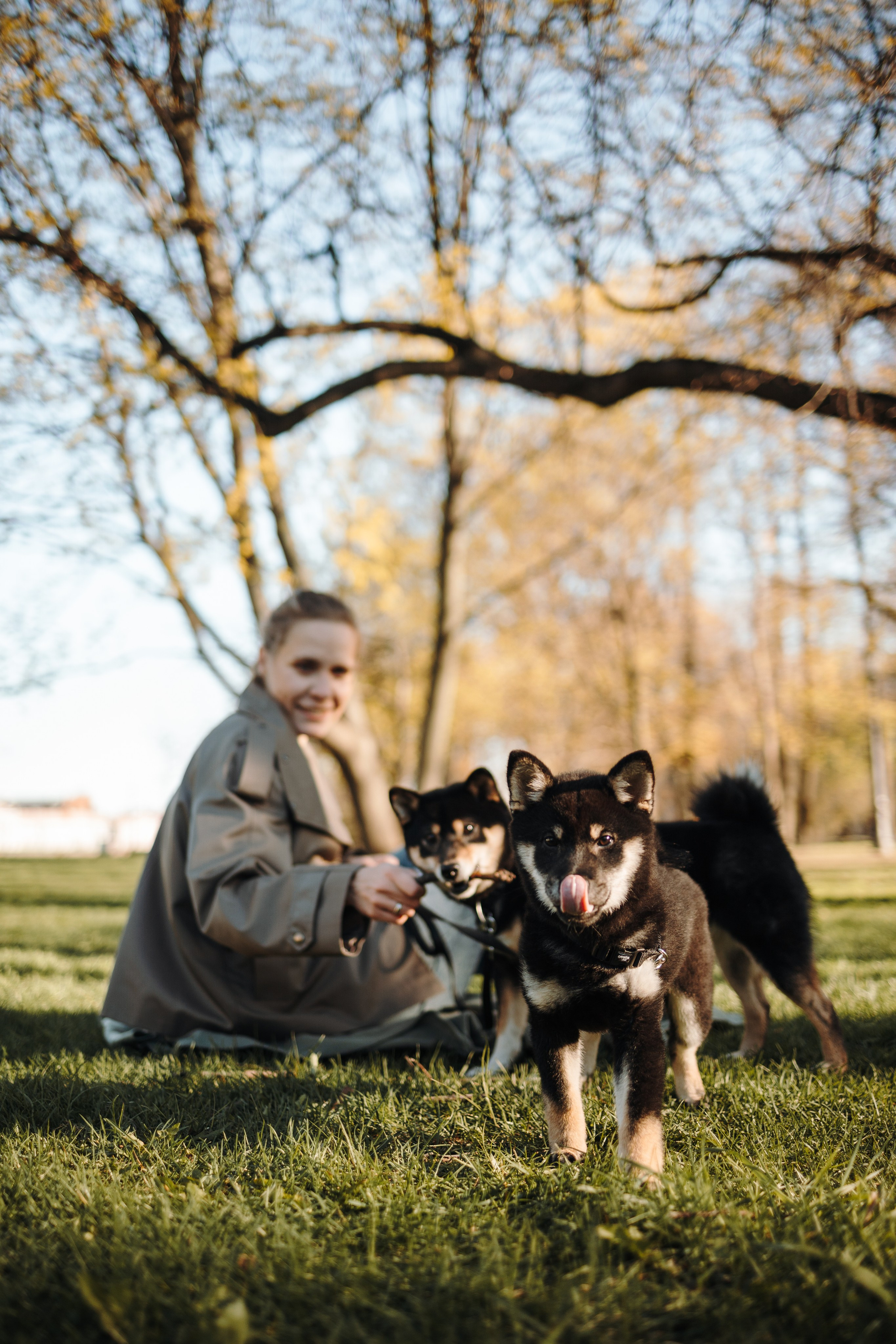Даша и ее девочки. Фотограф — Анималист | Санкт-Петербург
