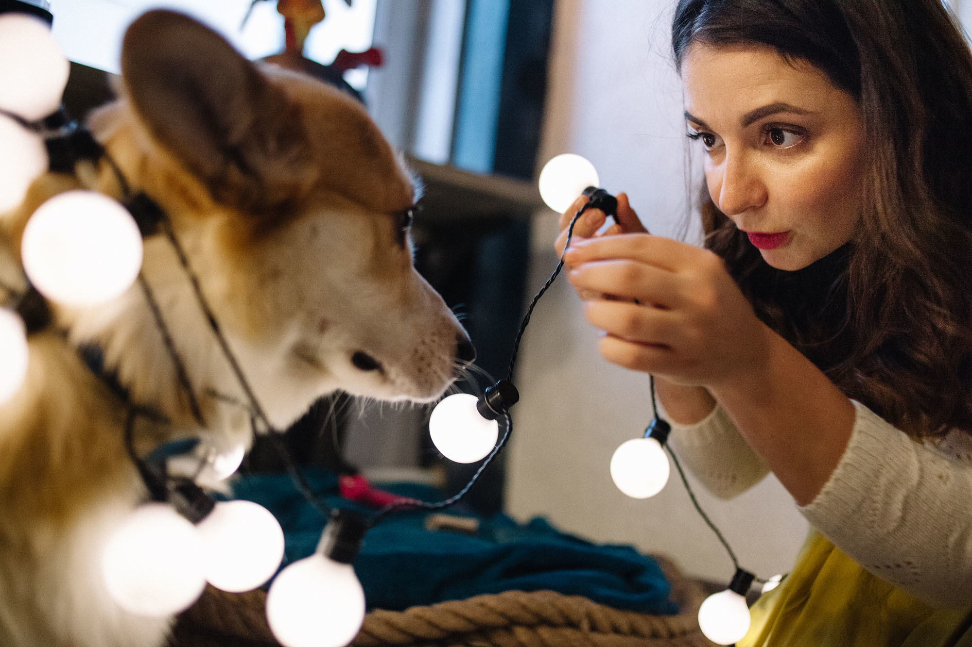 Фотосессия для влюблённой пары с собакой. Семейный и свадебный фотограф в Майкопе Михаил Мартиросян