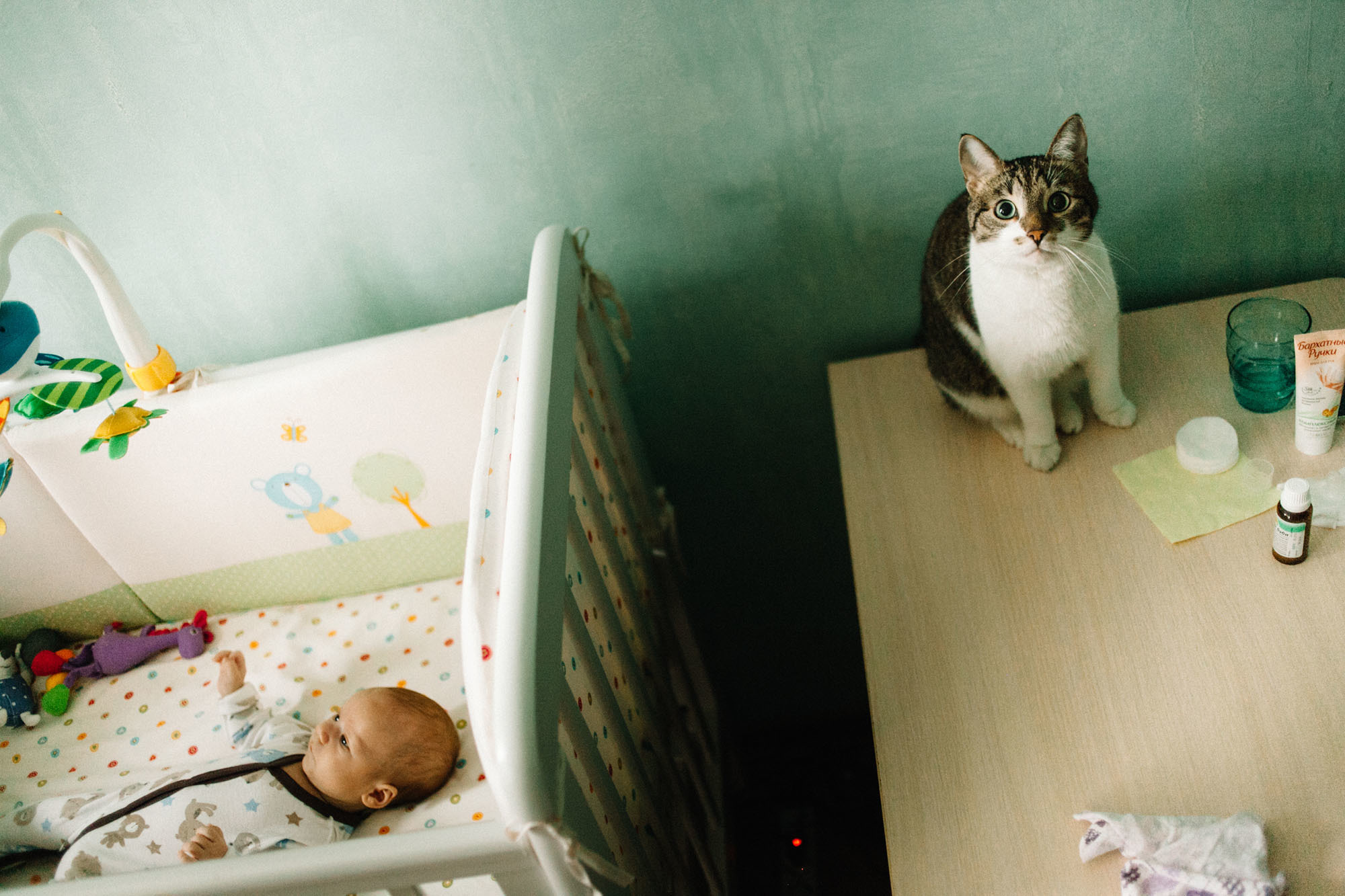 Домашняя семейная фотосессяи с котом. Семейный и свадебный фотограф в Майкопе Михаил Мартиросян