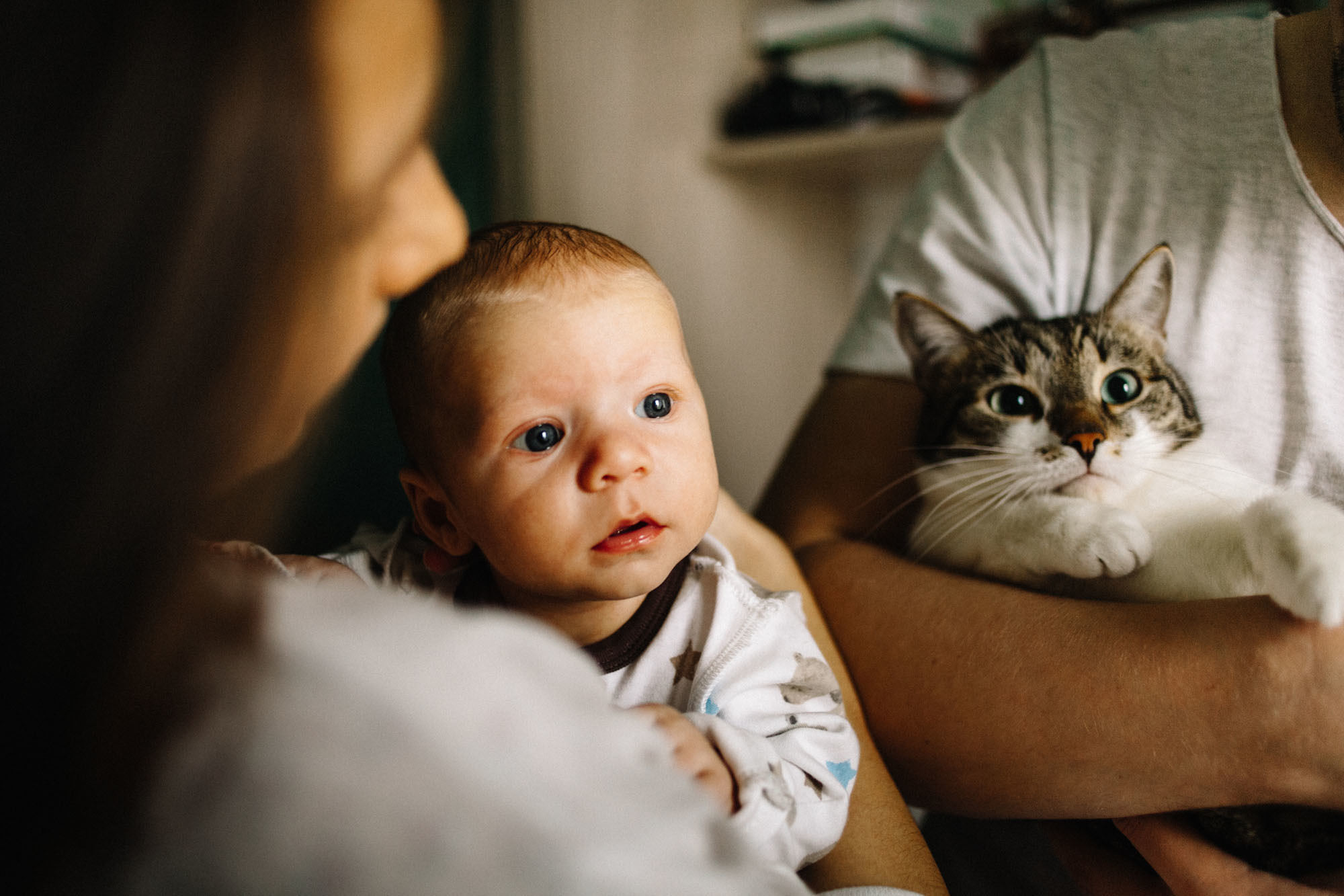 Домашняя семейная фотосессяи с котом. Семейный и свадебный фотограф в Майкопе Михаил Мартиросян