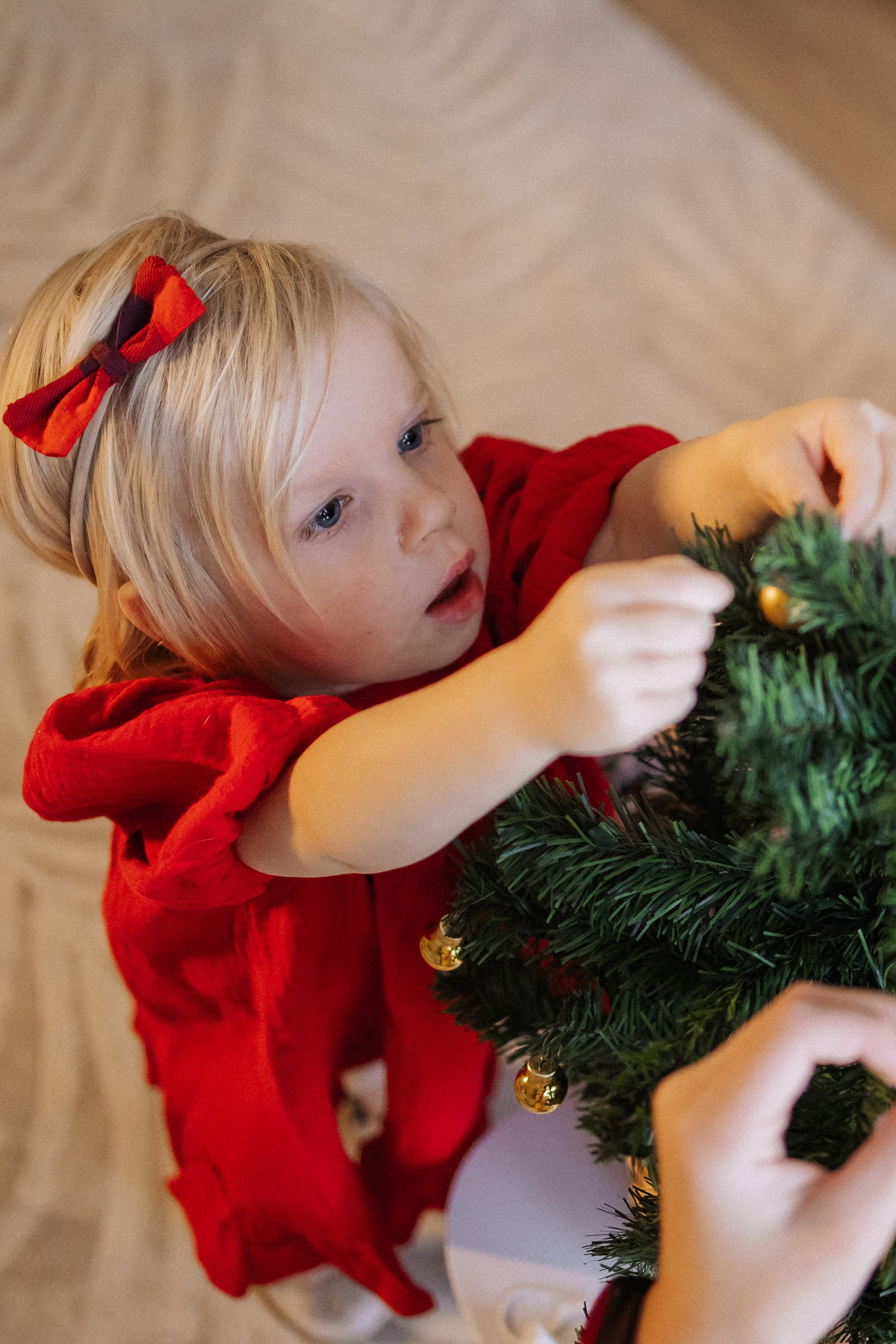 Новогодние. Семейный, детский и женский фотограф Дарина Старшинова в Твери