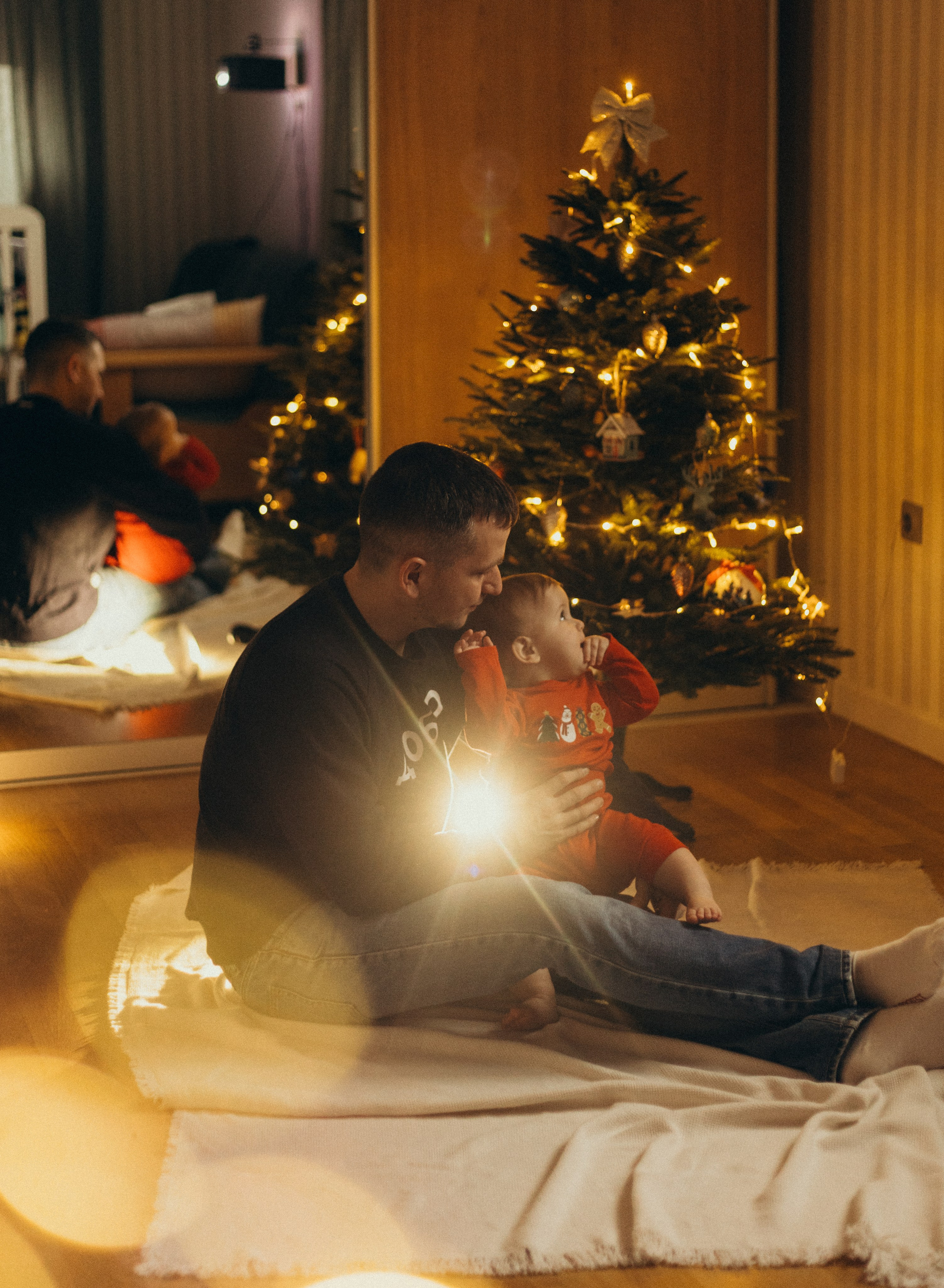 Домашняя история. Meryfotoidea