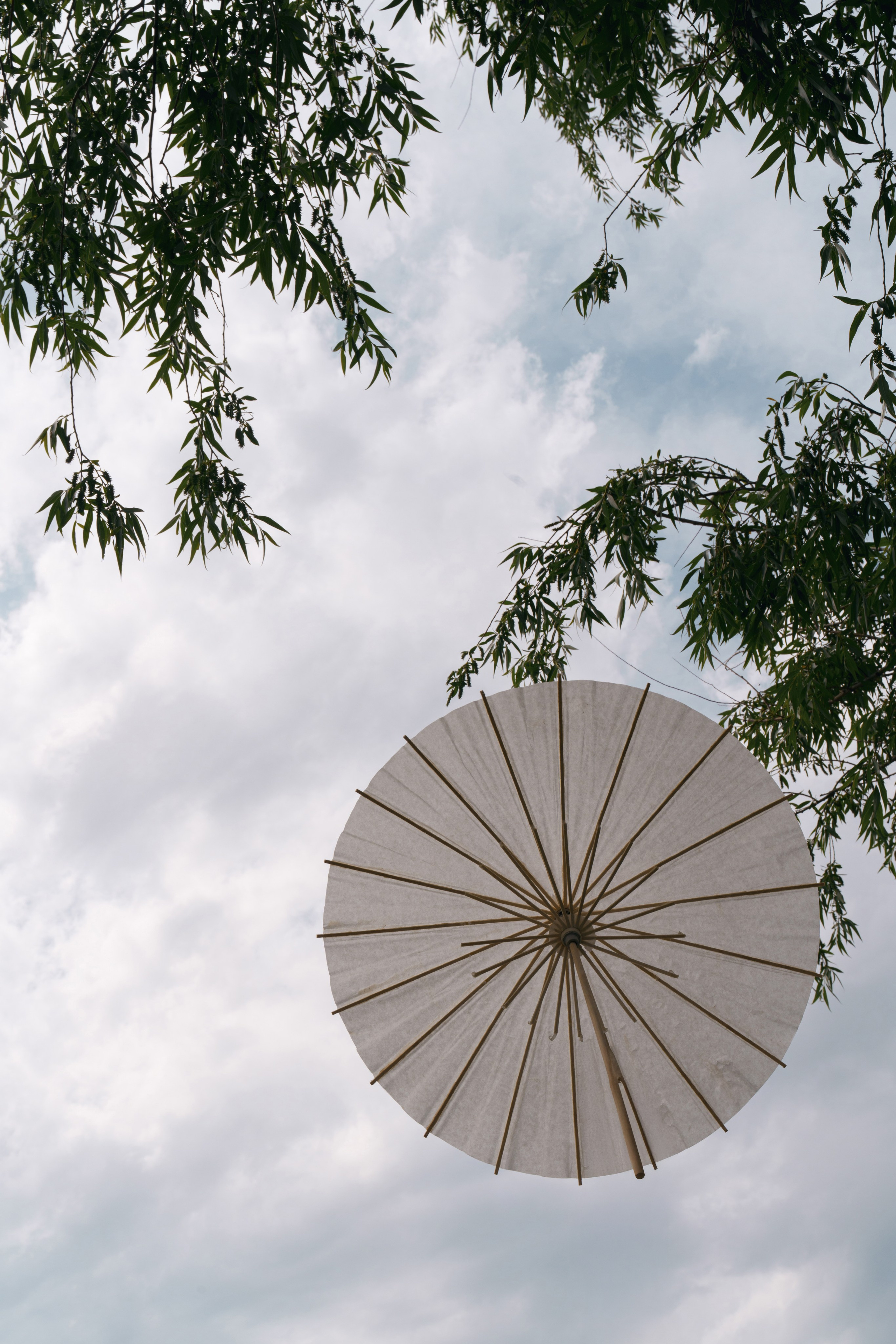 Свадебный вестник. Свадебный фотограф в Ростовe-на-Дону Анастасия Прутова