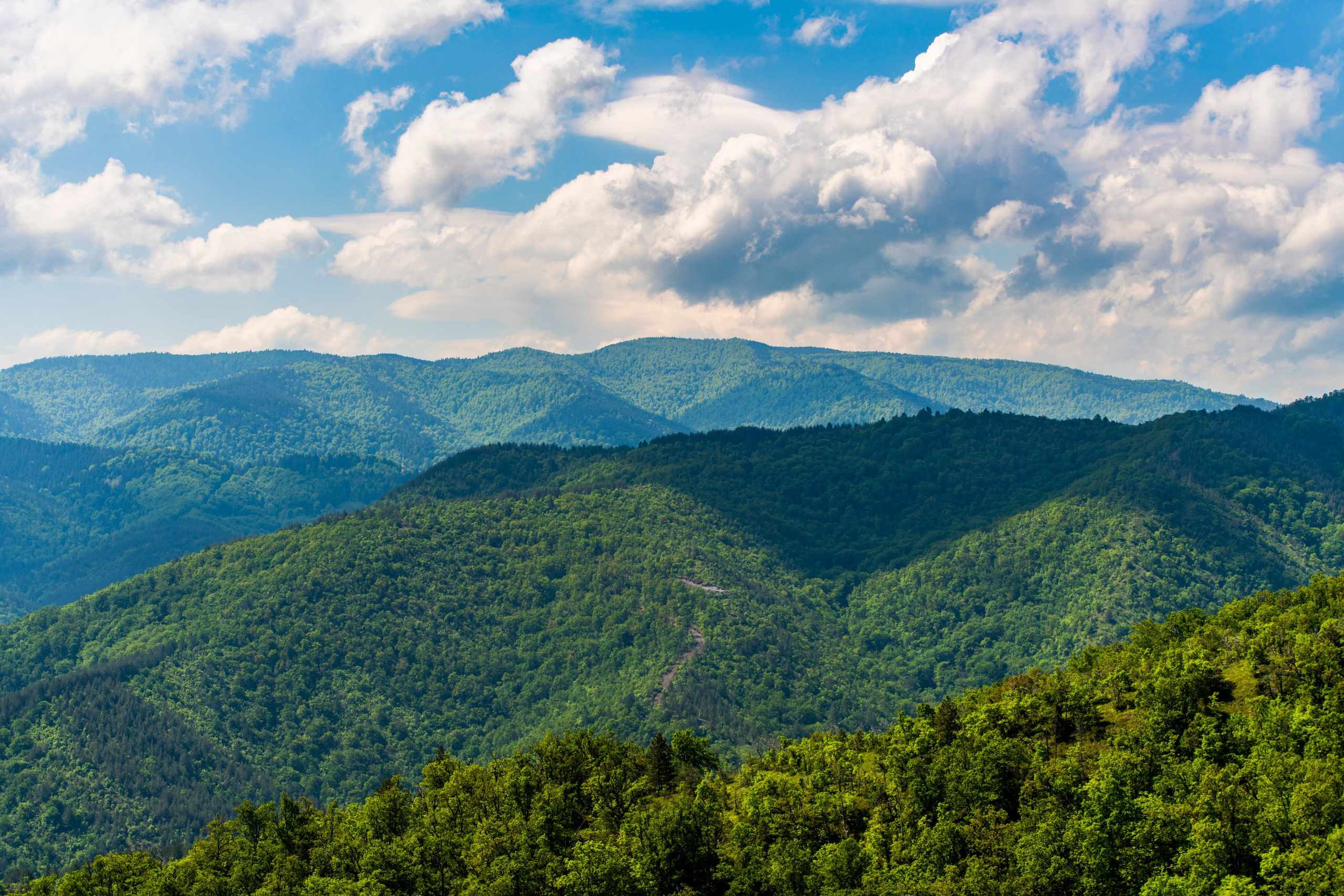 Столови. Сербия. Фотограф в Москве. Шахабудин