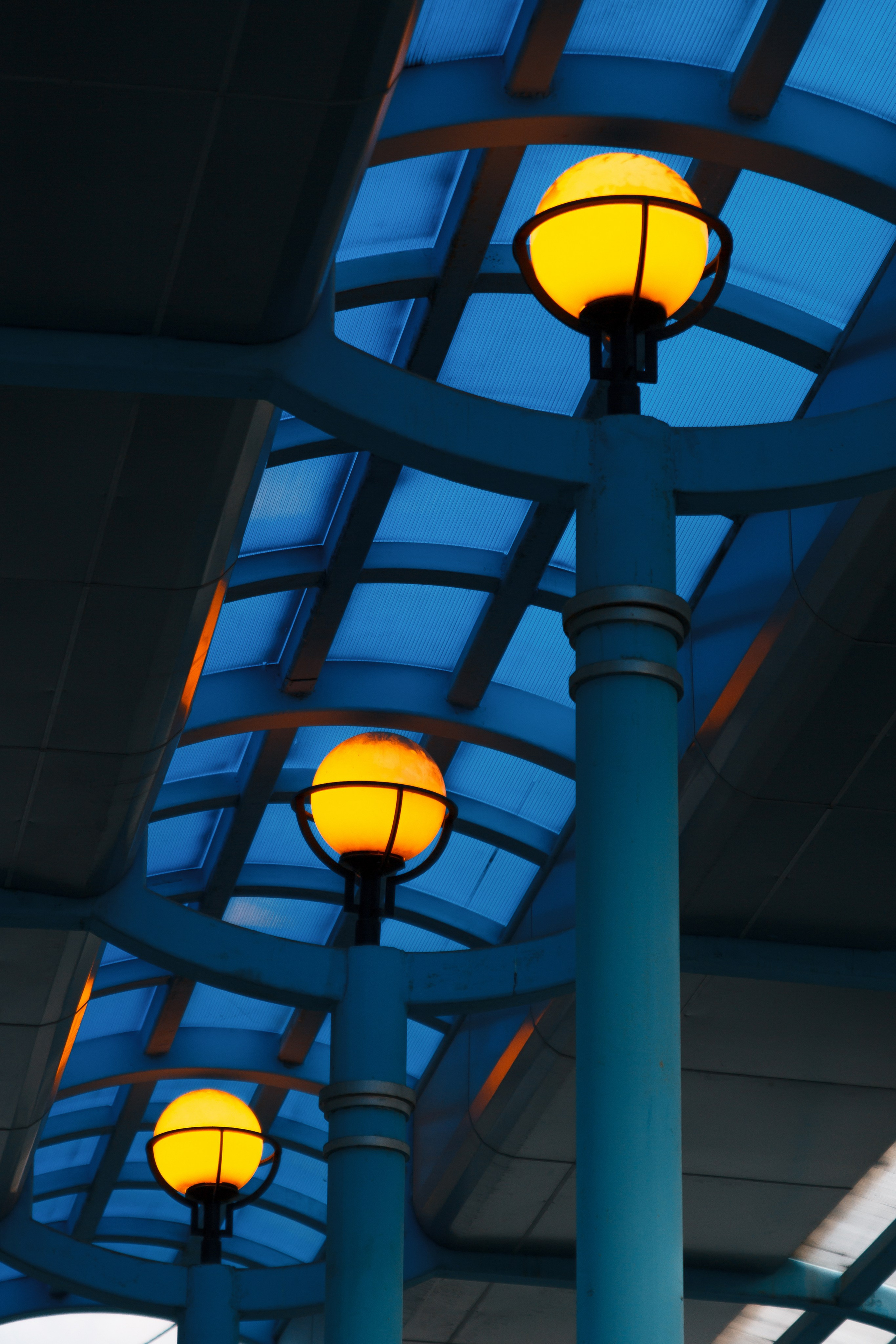 ЦВЕТНЫЕ ФОТОГРАФИИ. Никита Аничкин фото и видео оператор из России