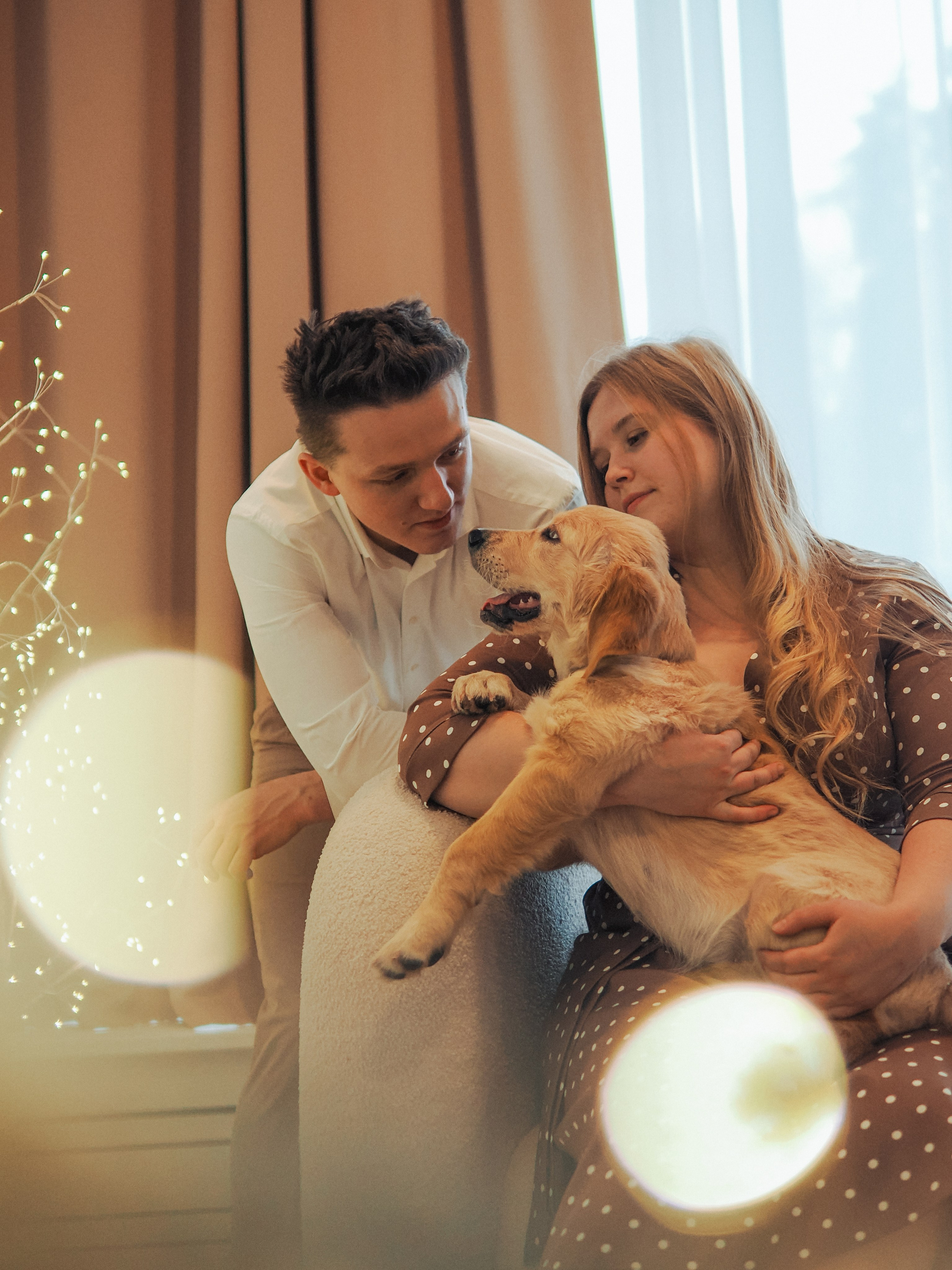 Малышка Молли и новый год. Фотограф в Москве — Сергей Люкшинов