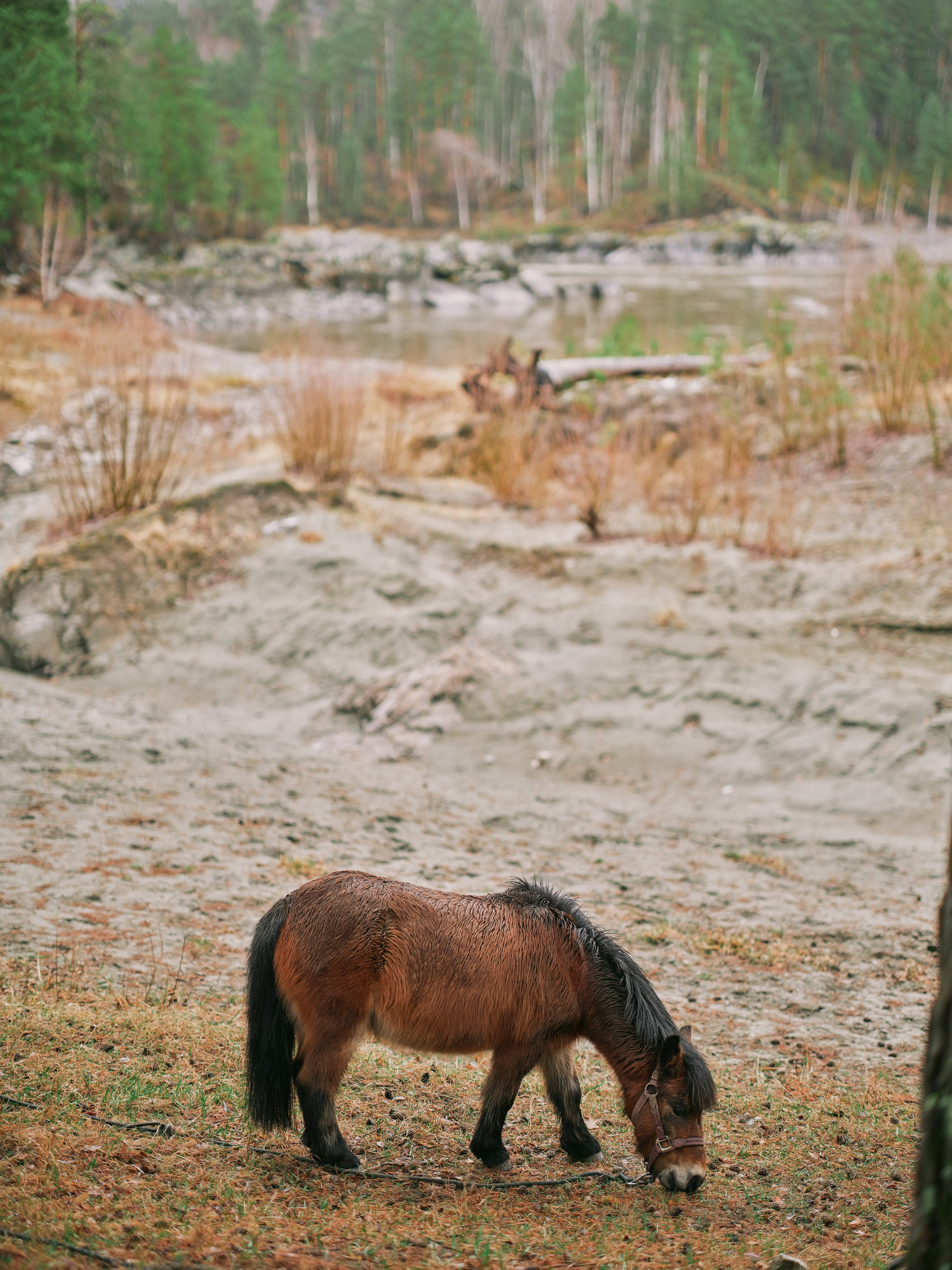 Контент для отелей. Свадебный и коммерческий фотограф Максим Наземцев