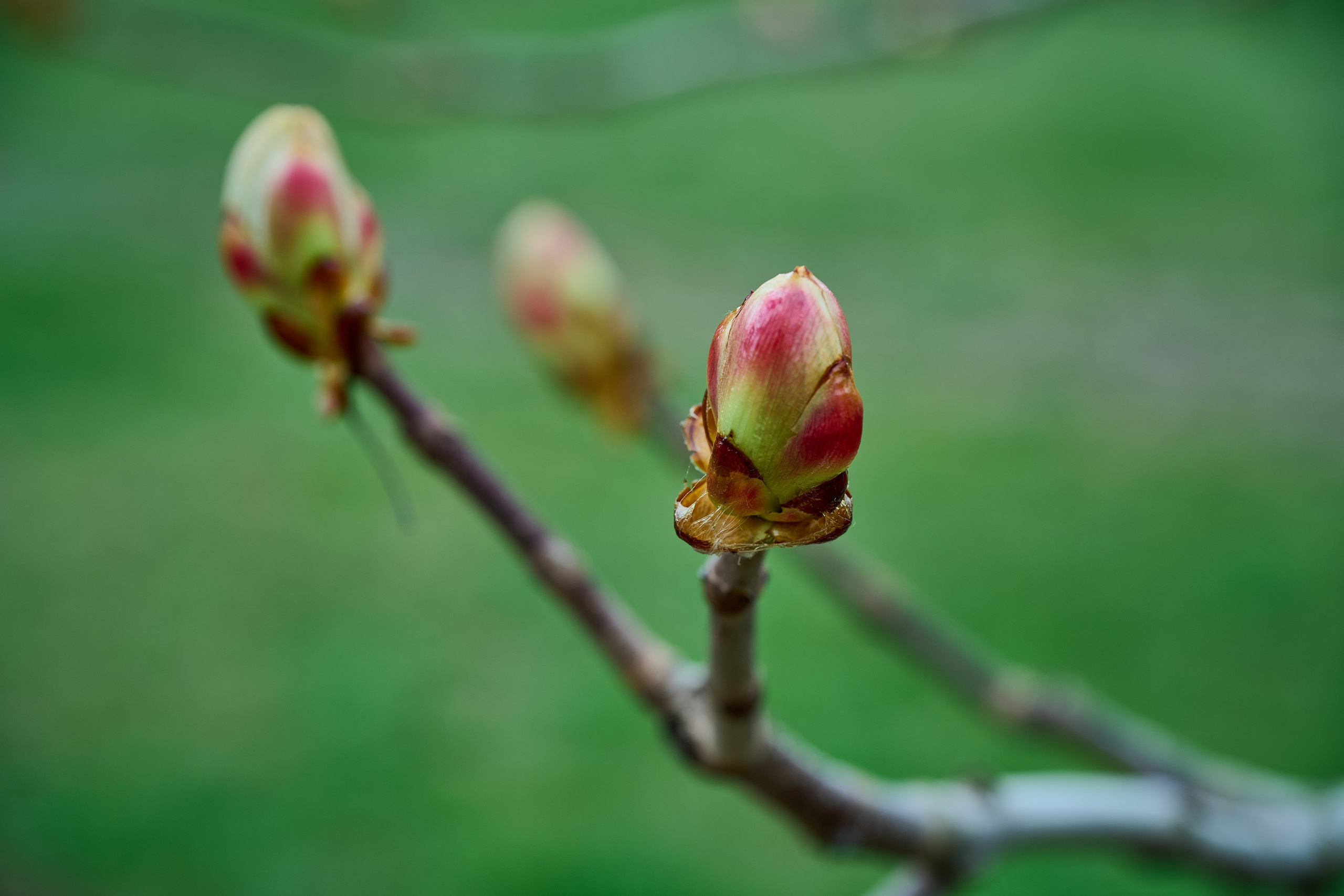 Мелитополь. Фотопроект «Территории»