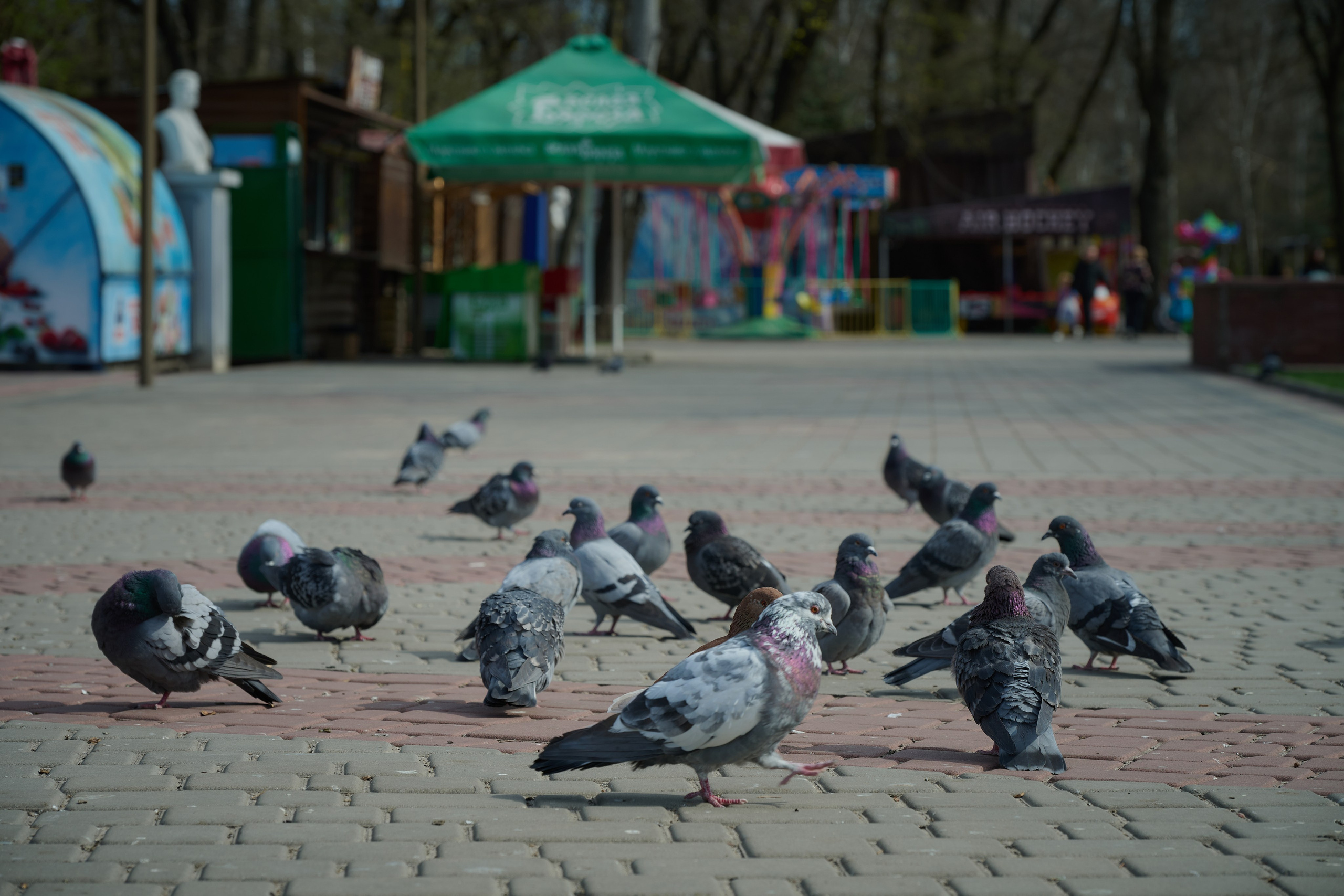 Мелитополь. Фотопроект «Территории»