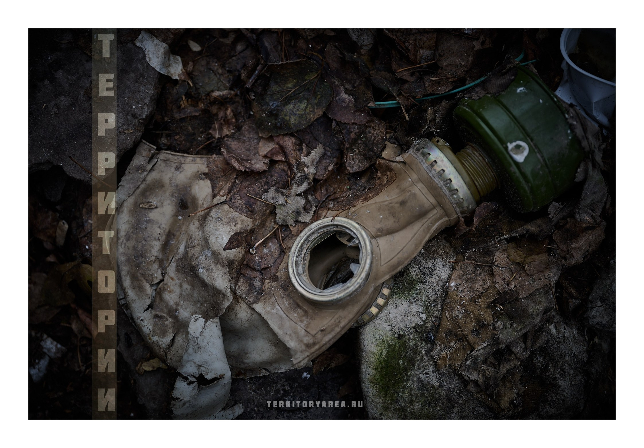 Фотопринты А3. Фотопроект «Территории»