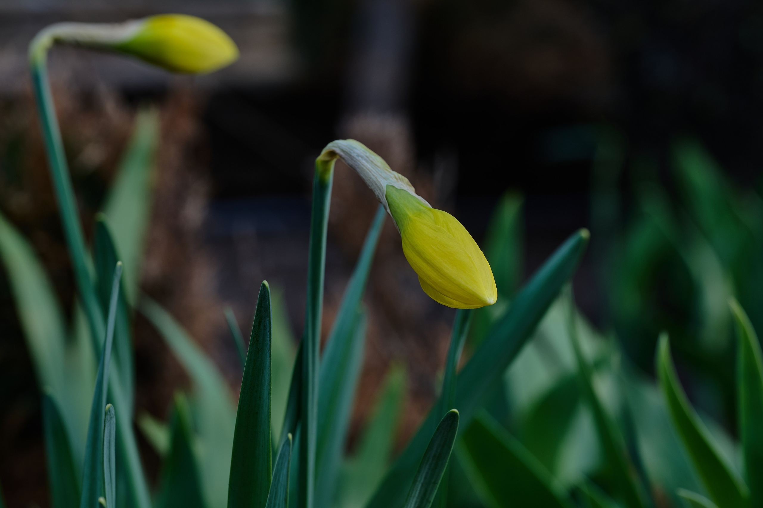 Мелитополь. Фотопроект «Территории»