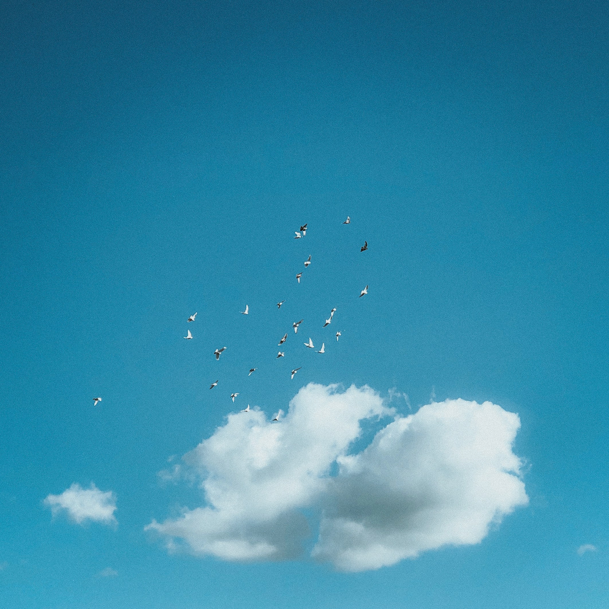 Фотографии из разных мест. Фотограф в Москве, Георгий Бучукури