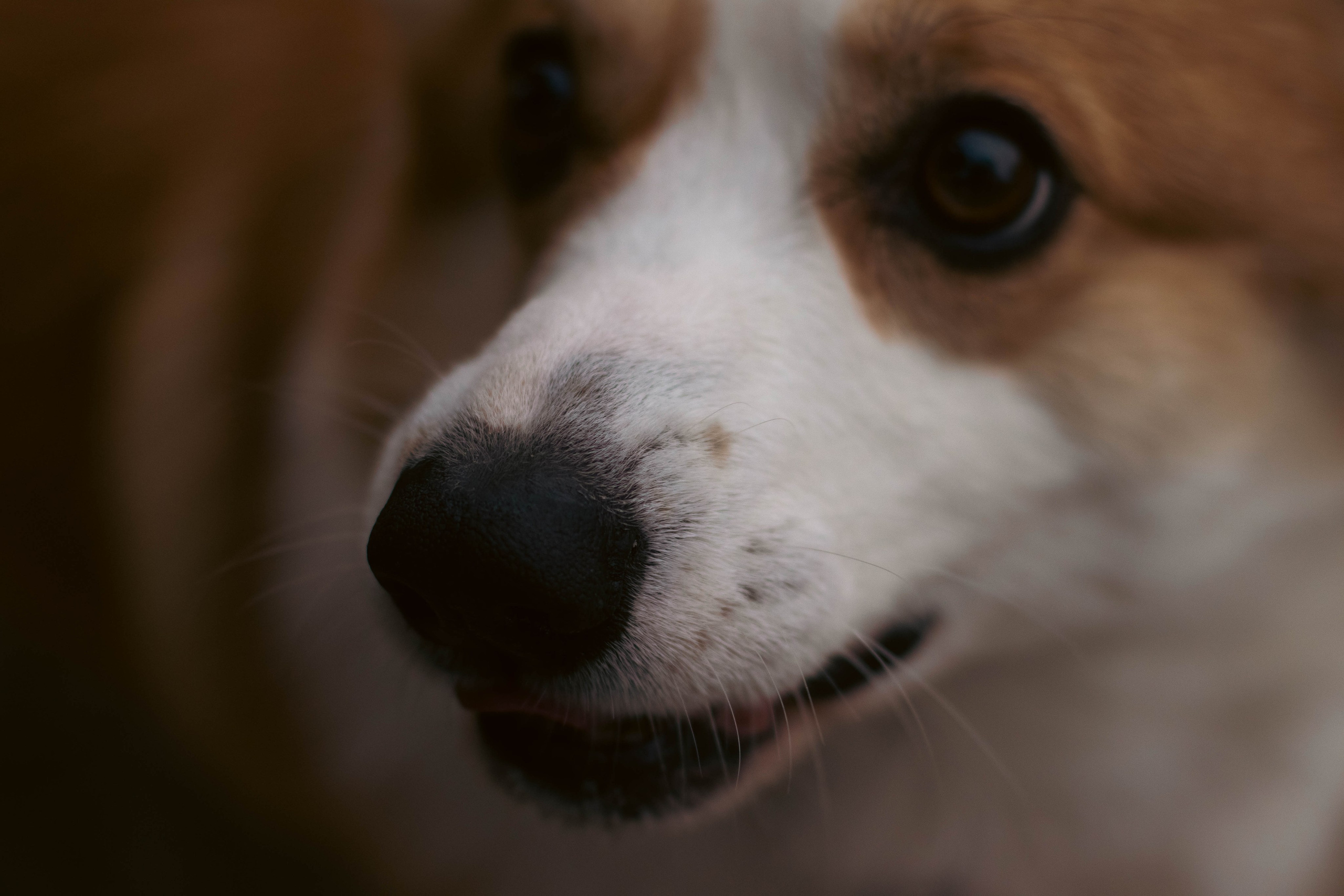 Деймик. Фотограф в Москве Ксюшенька