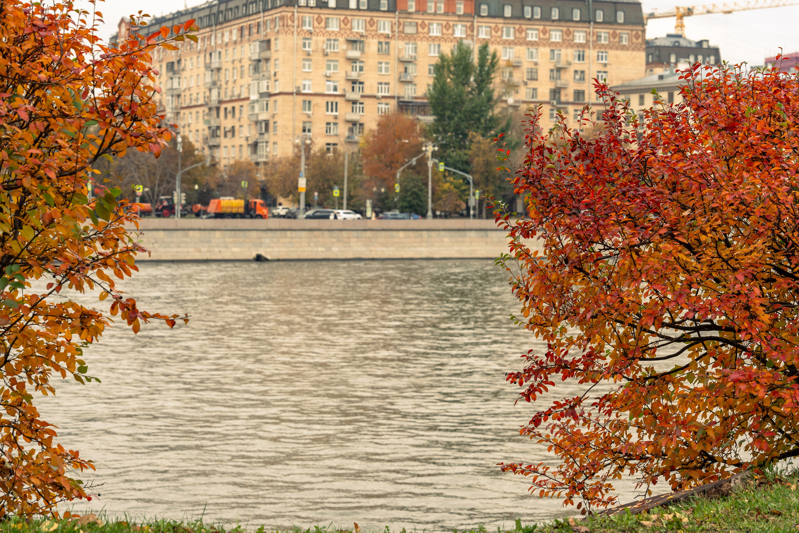 20251011 Нескучный сад. Дмитрий Ремизов. Фотография, как хобби