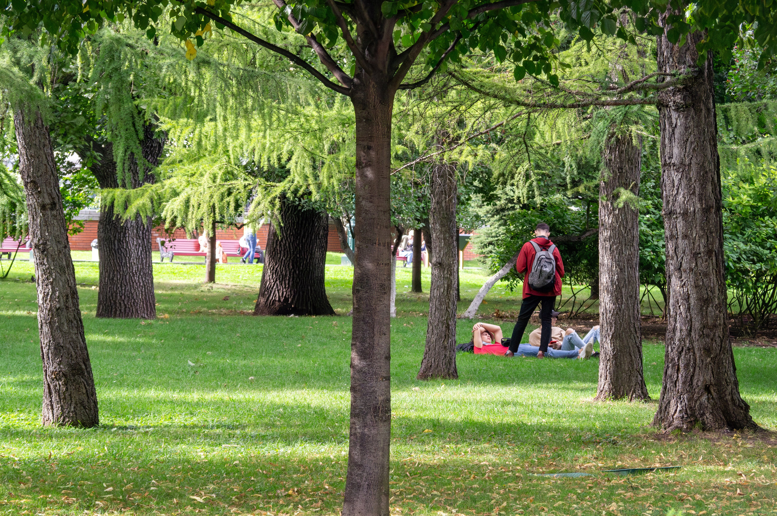 20200824 Вокруг Кремля с братом. Дмитрий Ремизов. Фотография, как хобби