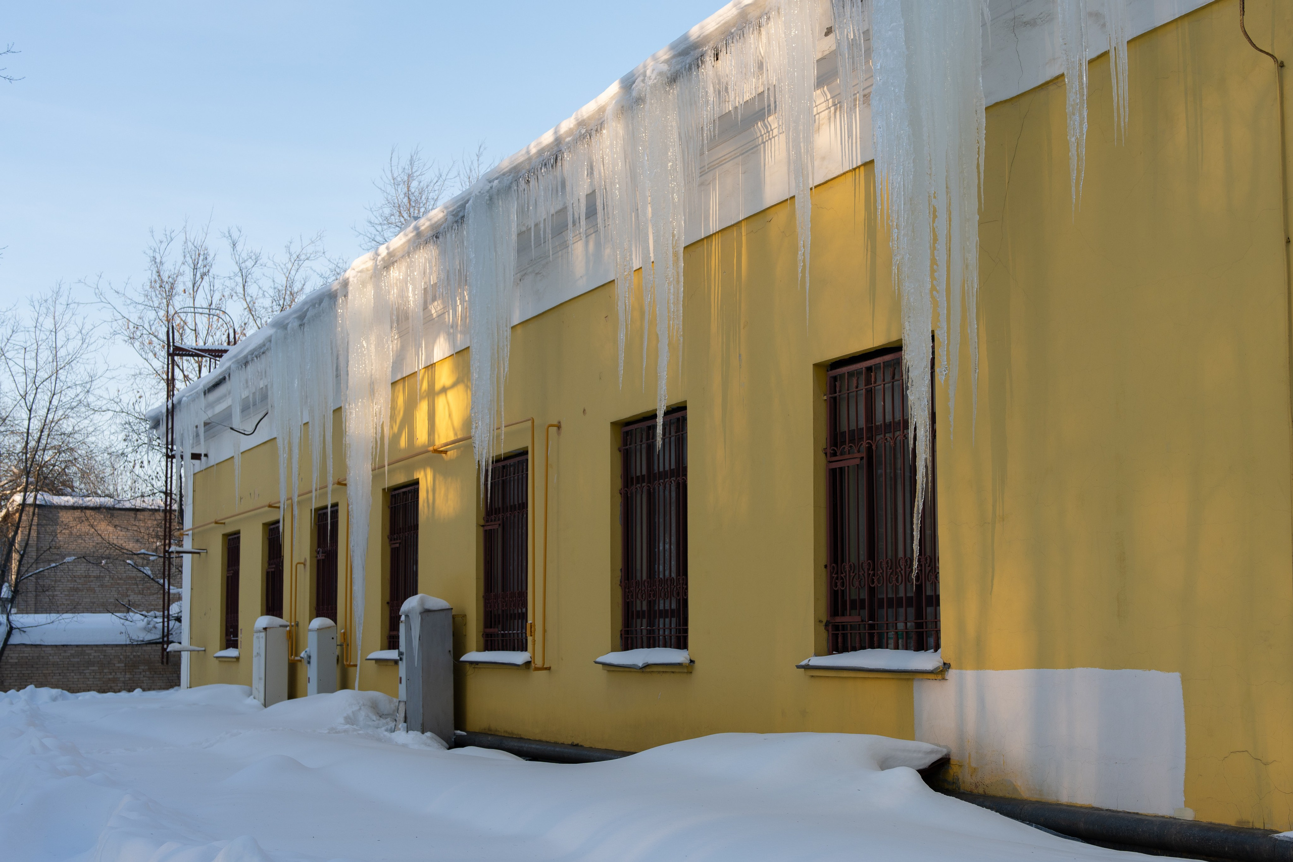 20260118 МГУ. Дмитрий Ремизов. Фотография, как хобби