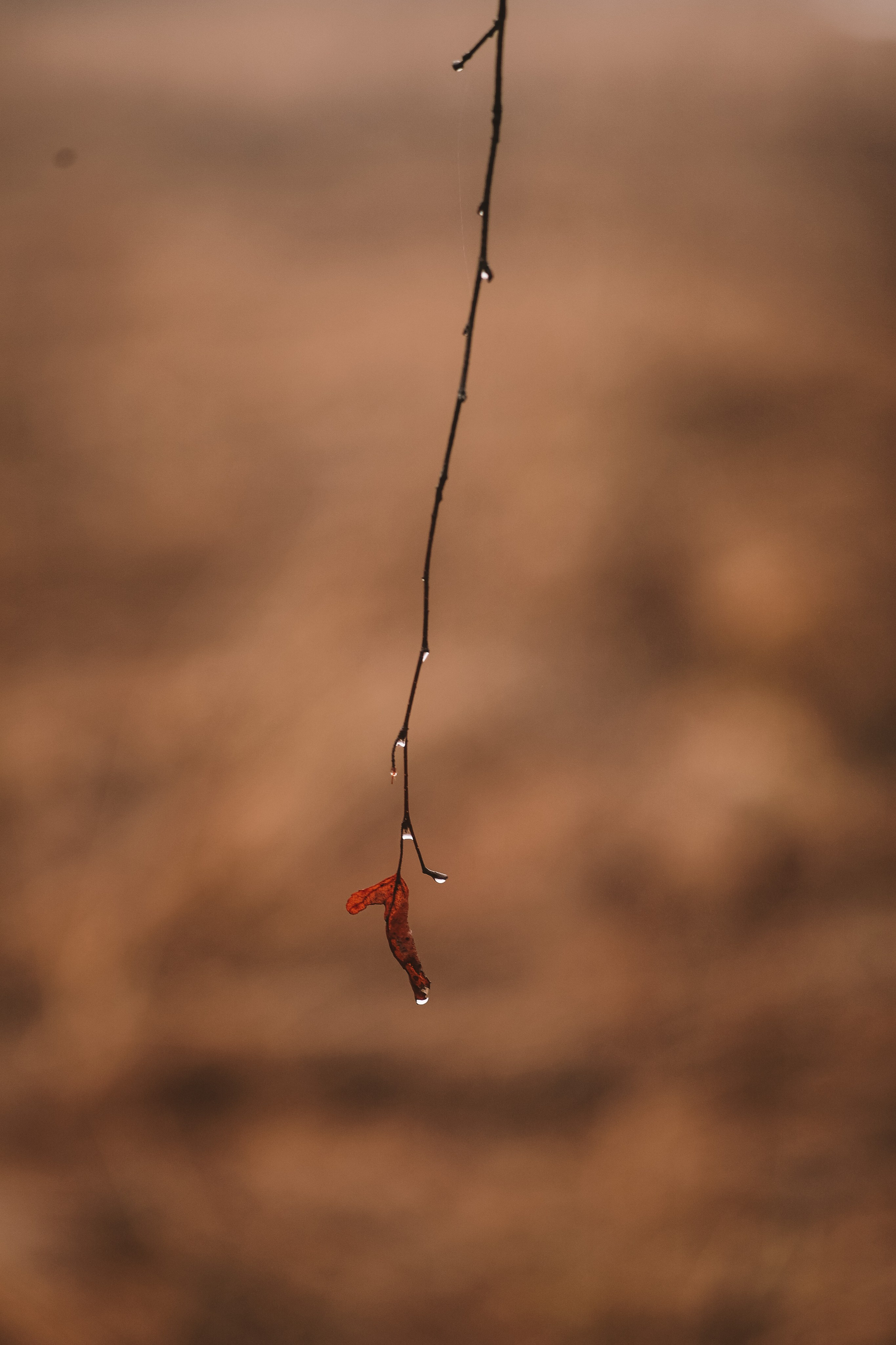 Природа. Фотограф Ольга Мурзина