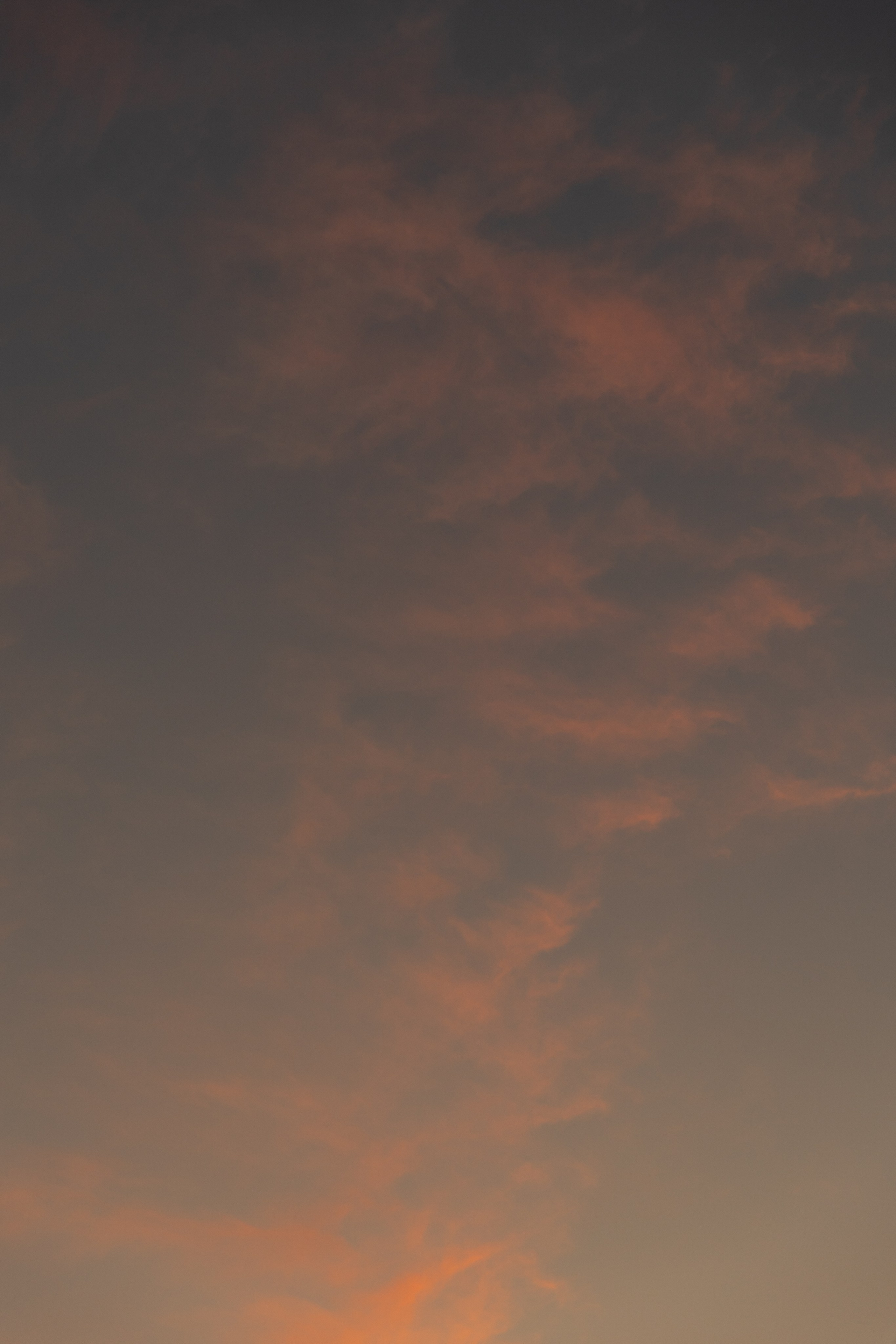 NIKITA SHUSHANNA. Kudaybergenovs