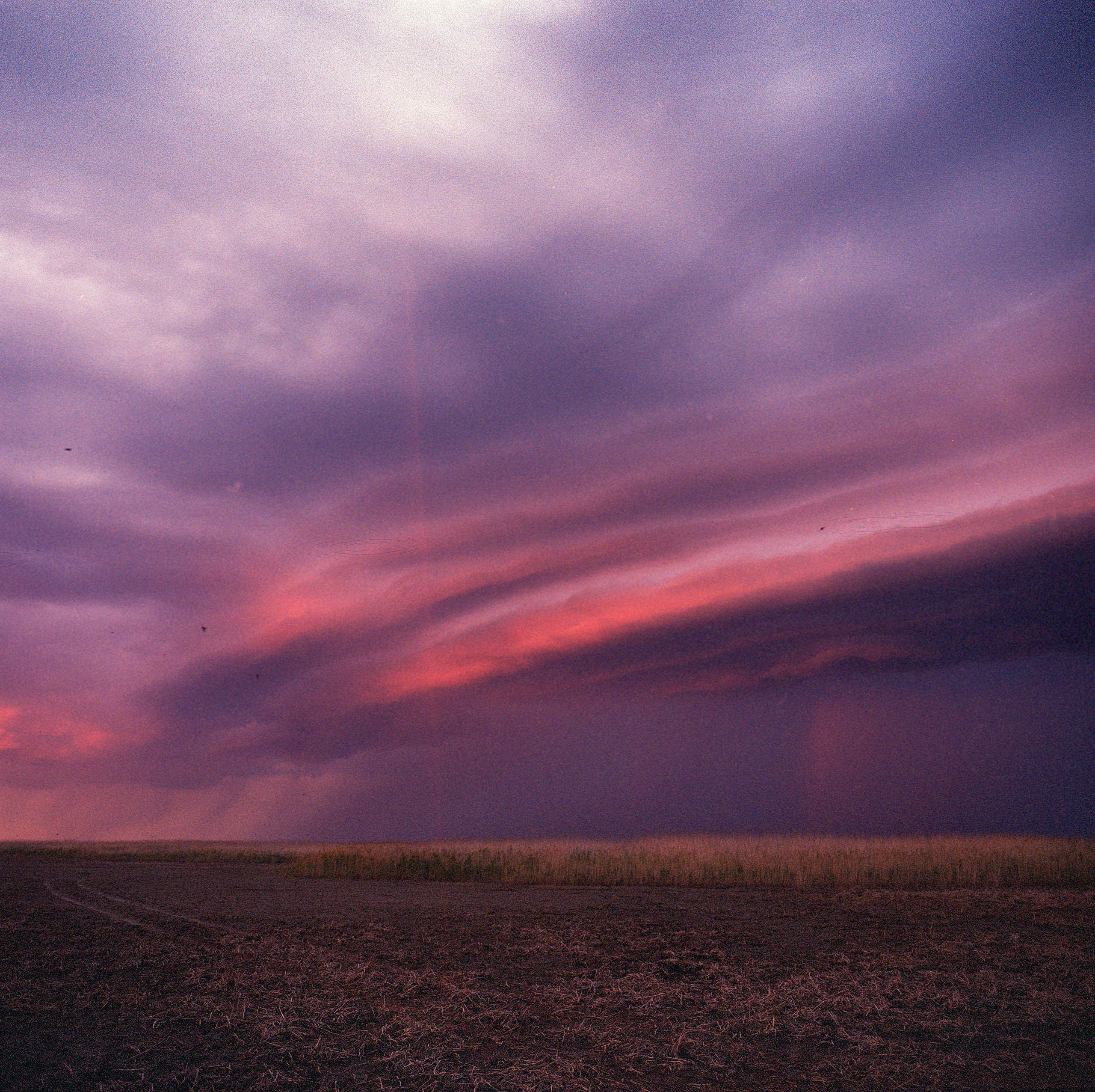 Jarqyn. Bauyrzhan Sabit — photographer and cinematographer