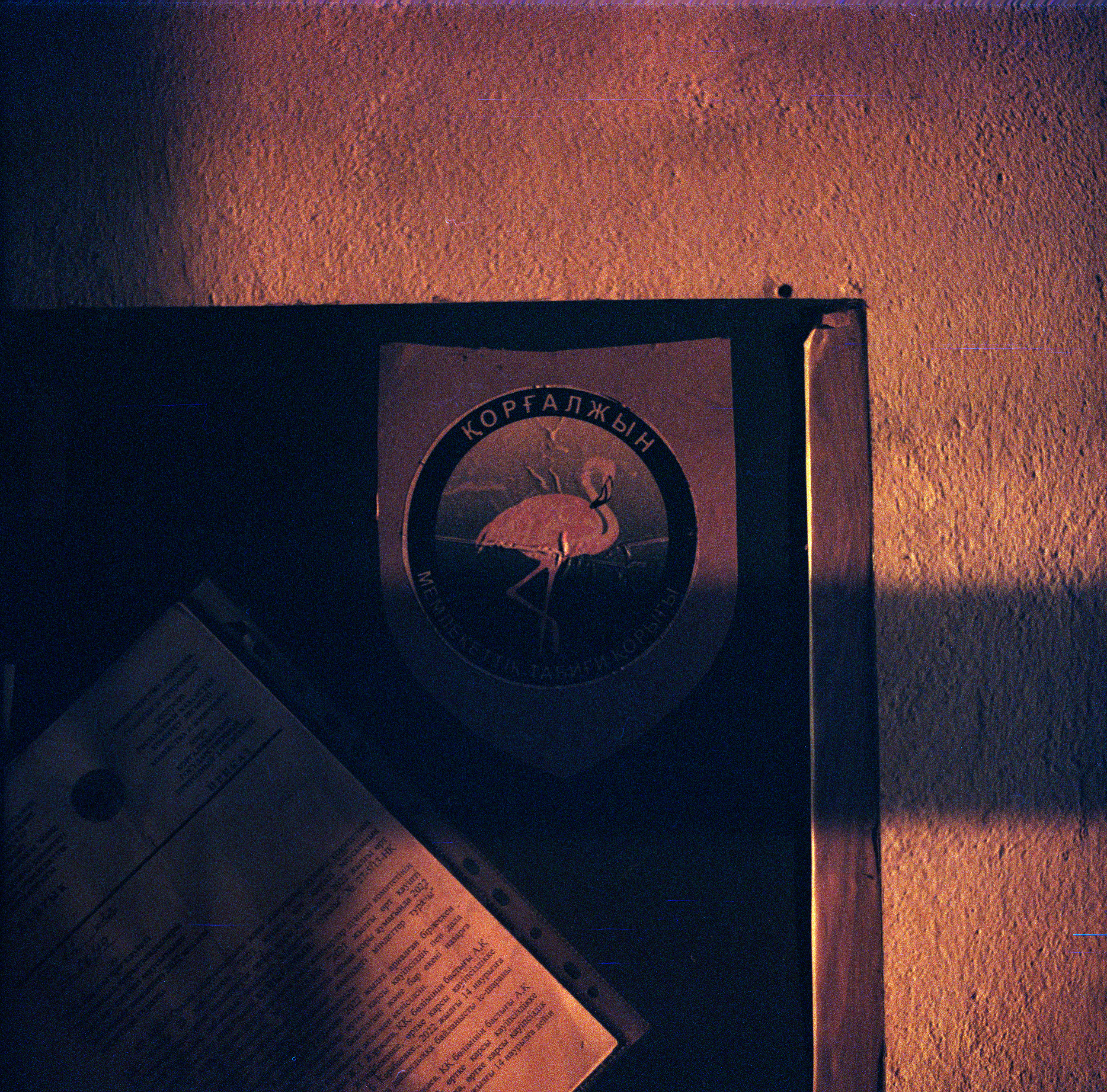 Jarqyn. Bauyrzhan Sabit — photographer and cinematographer