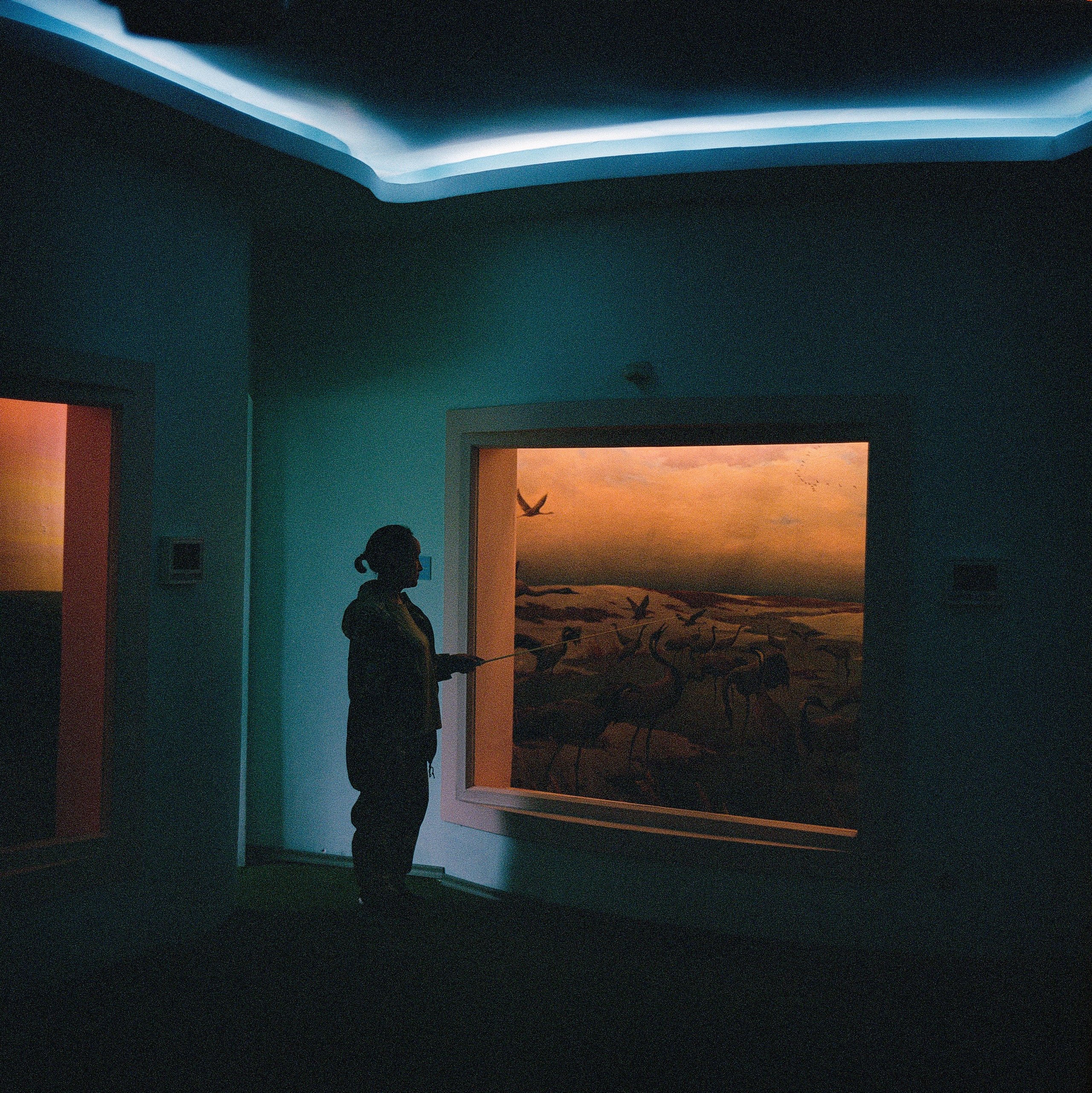 Jarqyn. Bauyrzhan Sabit — photographer and cinematographer