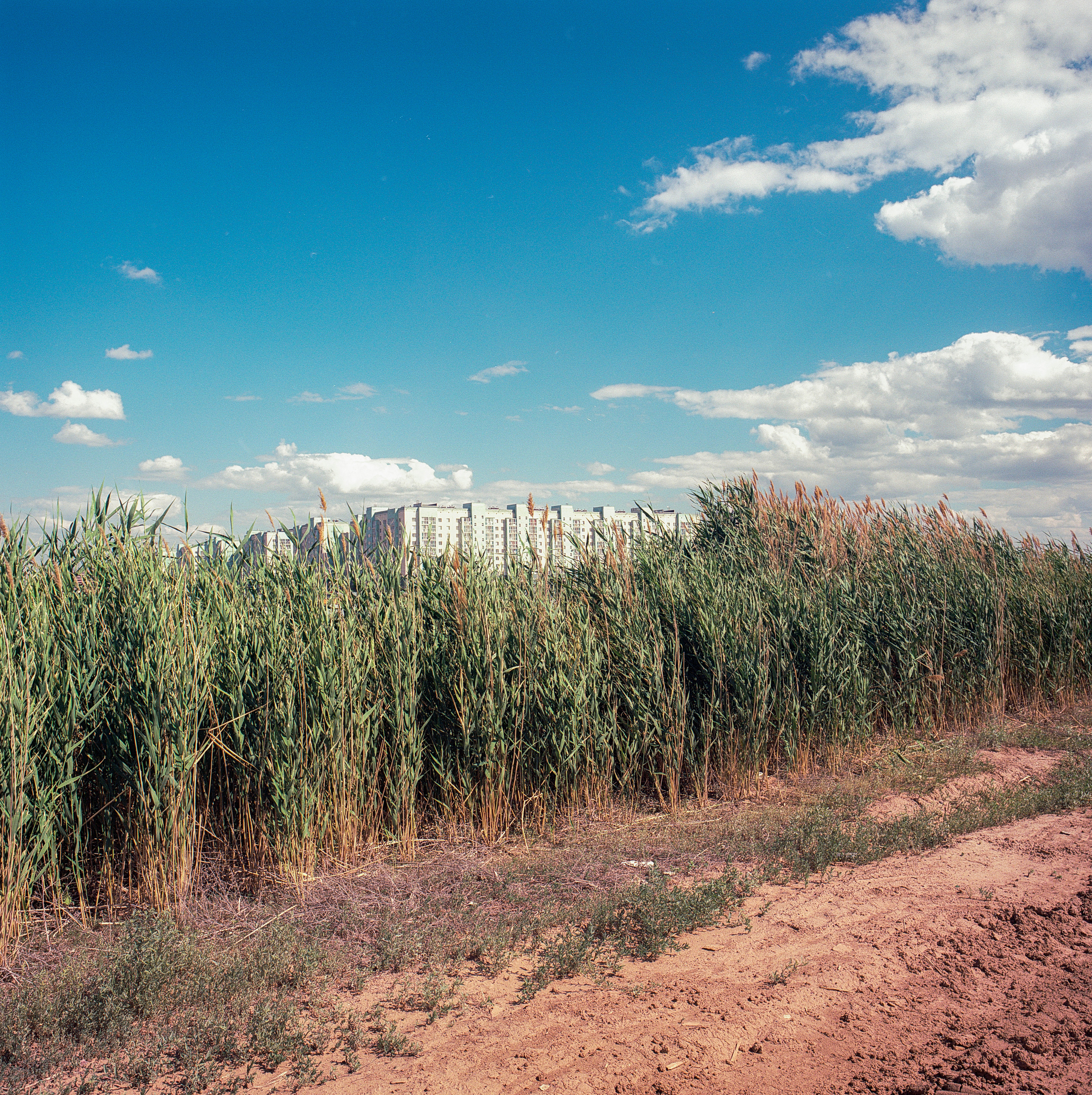 Taldykol. Bauyrzhan Sabit — photographer and cinematographer