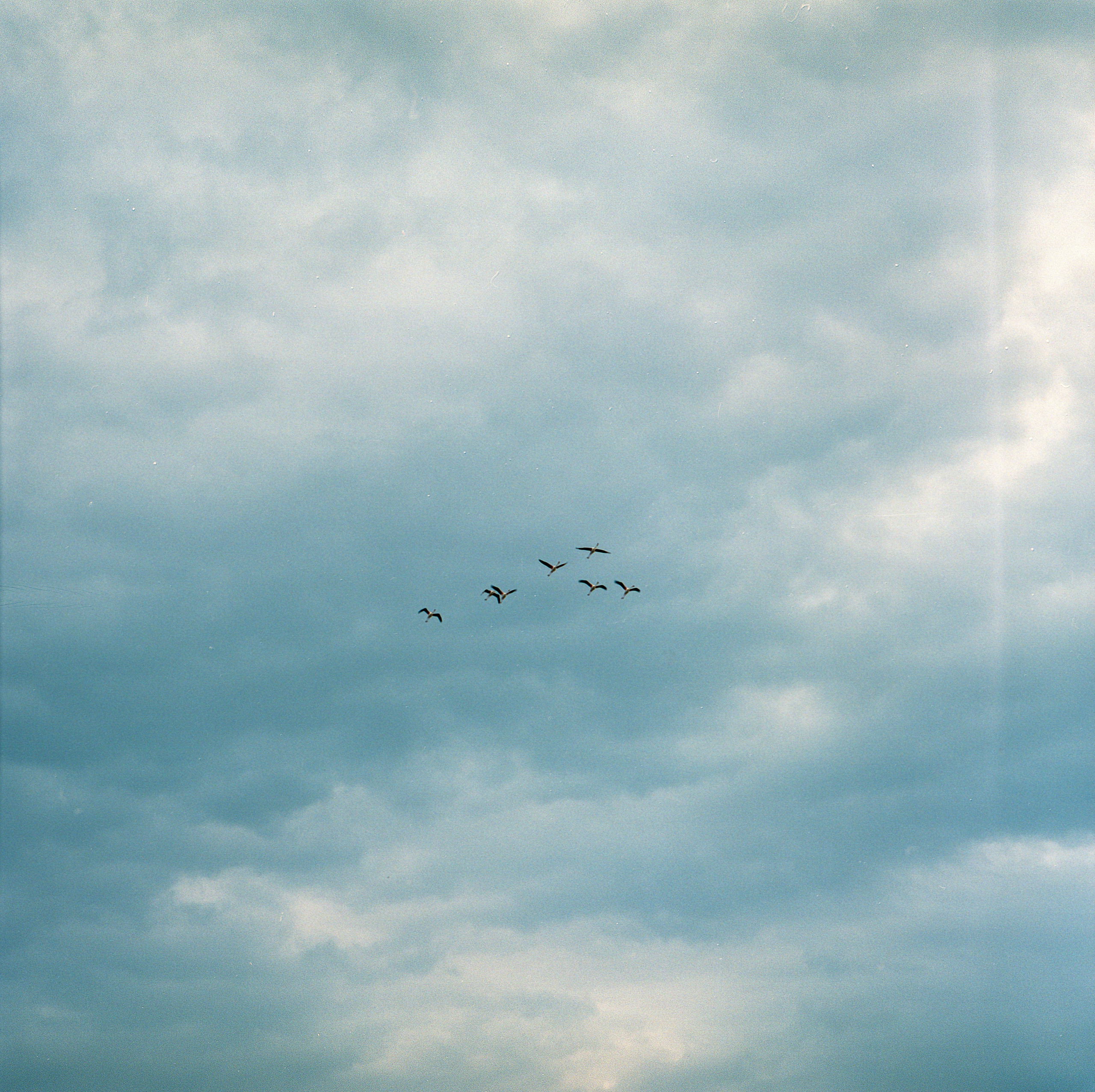 Jarqyn. Bauyrzhan Sabit — photographer and cinematographer