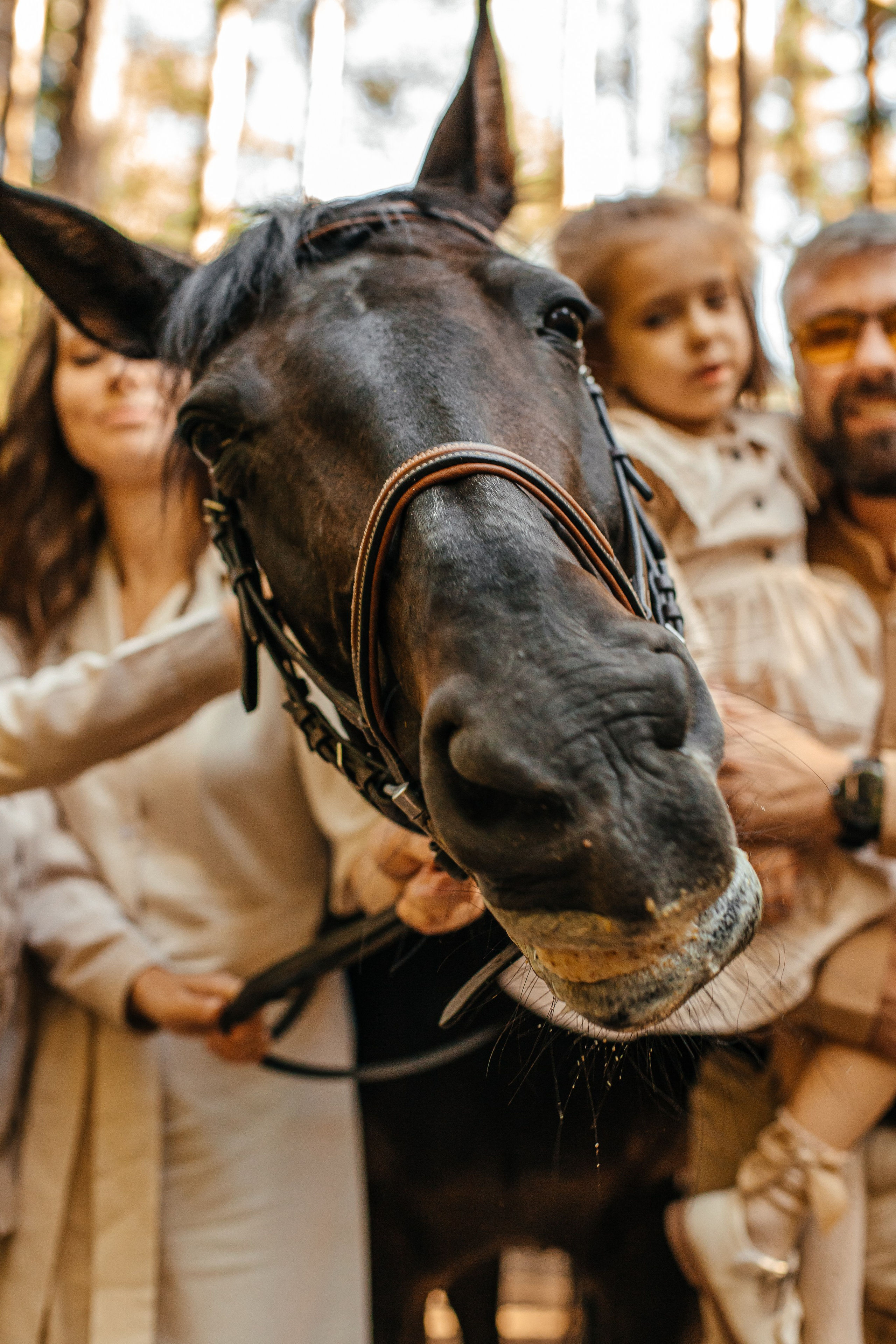 Надя семья в Токсово. Elena Sova — семейный и женский фотограф в Санкт-Петербурге