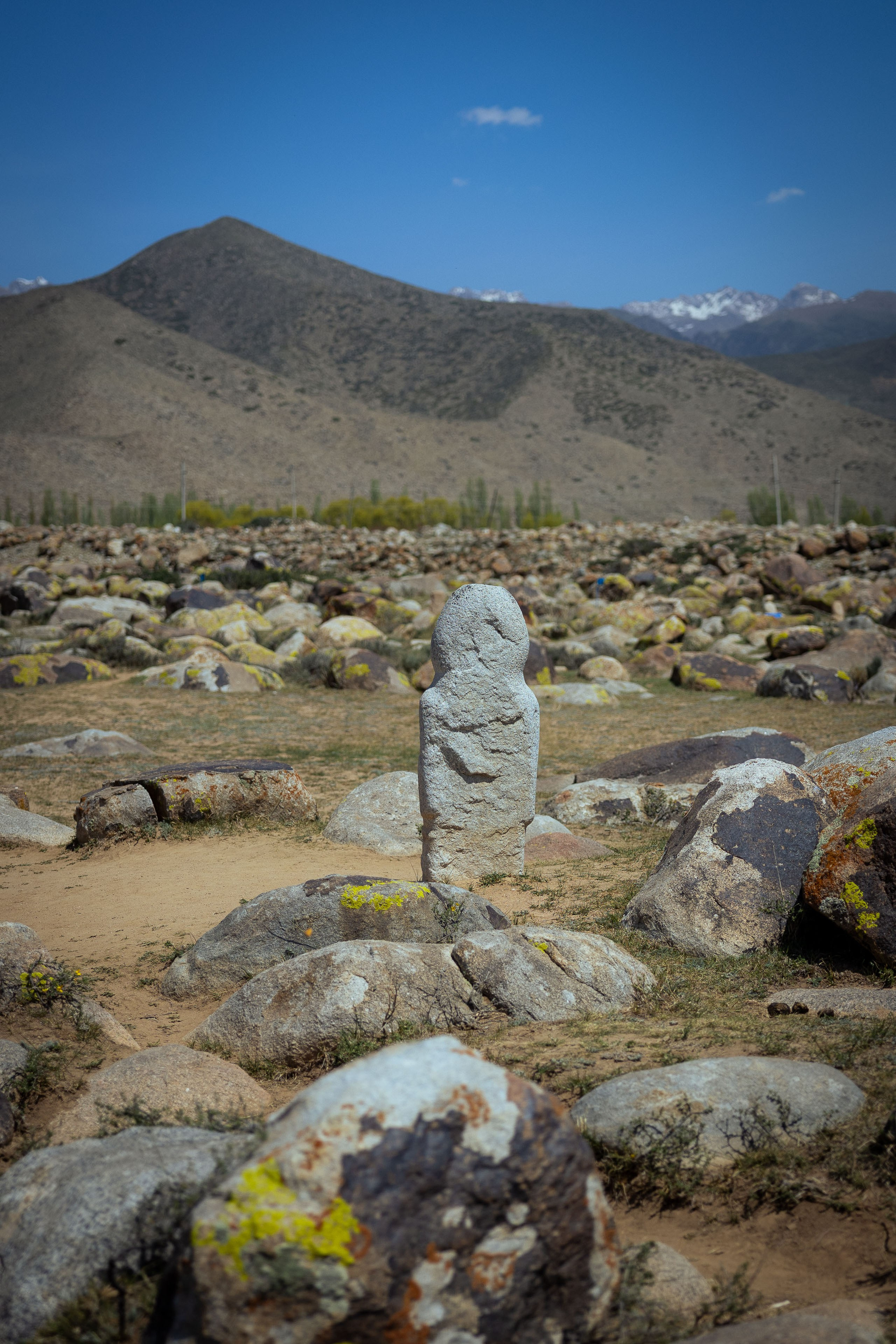 Кыргызстан (весна 2025). Фотограф Виноградов Константин