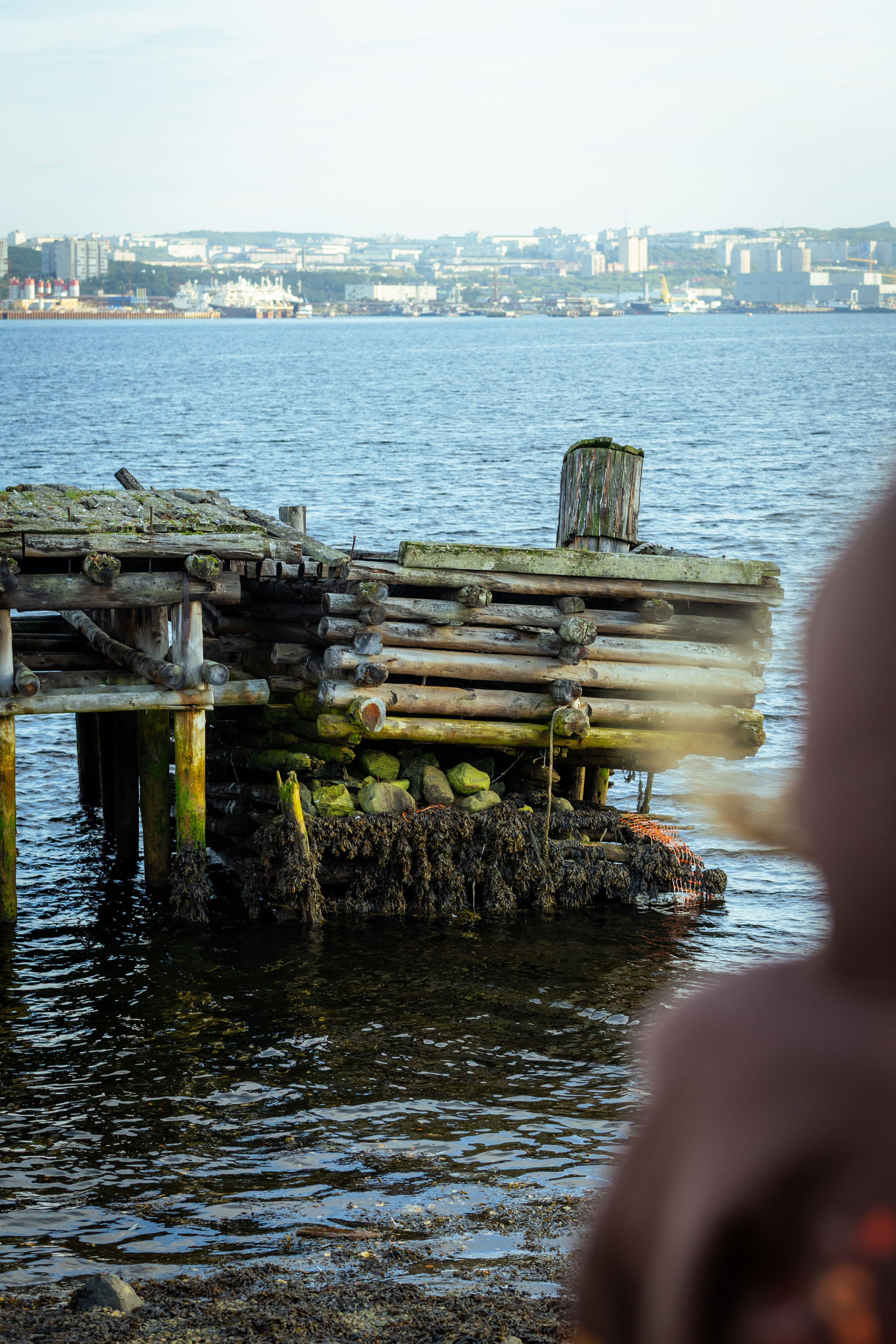 Кольский (осень 2025). Фотограф Виноградов Константин