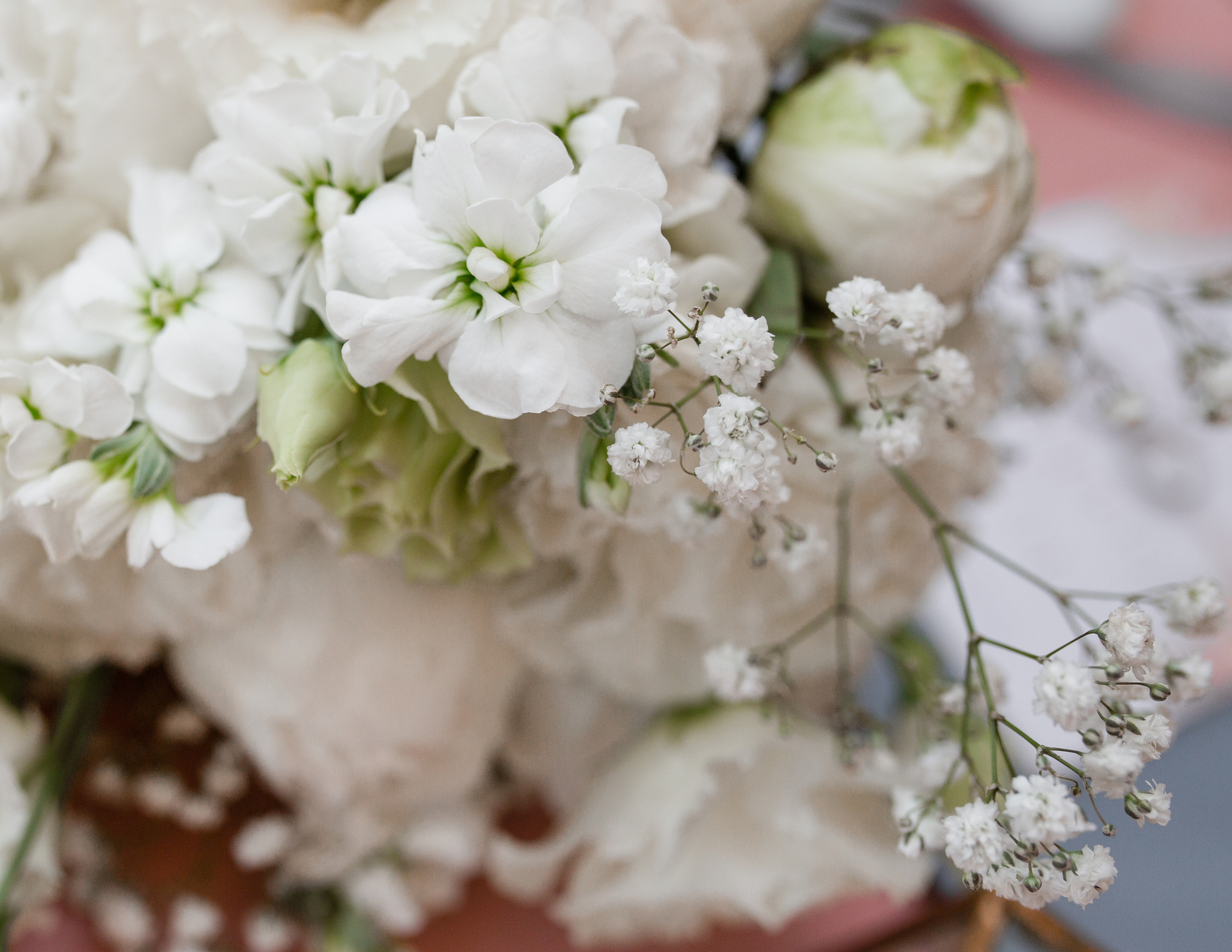 Елеукен & Гаухар. Фотограф в Алматы Диана Токтарова