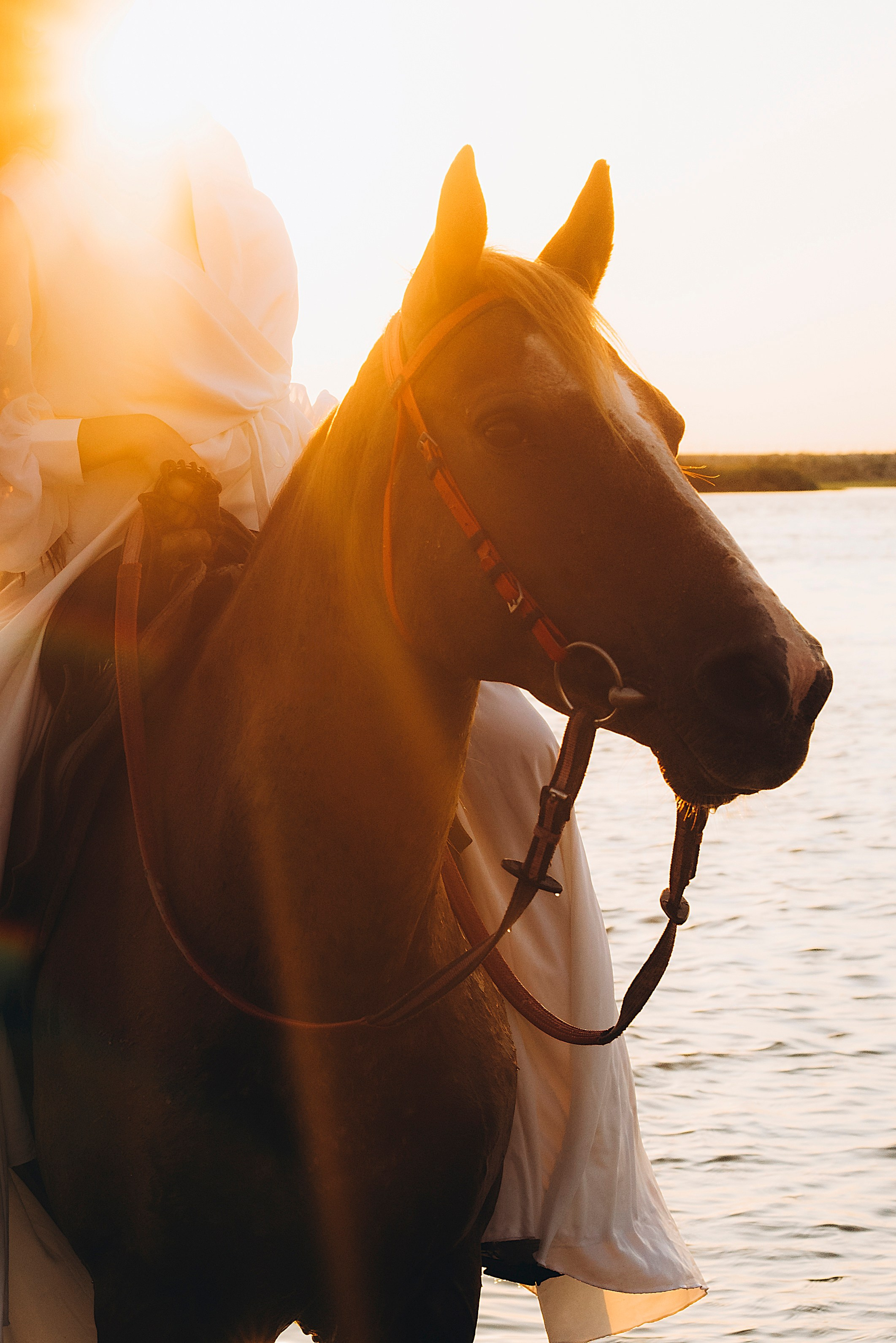Август. Свадебный фотограф Ростов-на-Дону от 4 400 руб. |Кристина Гайсенюк