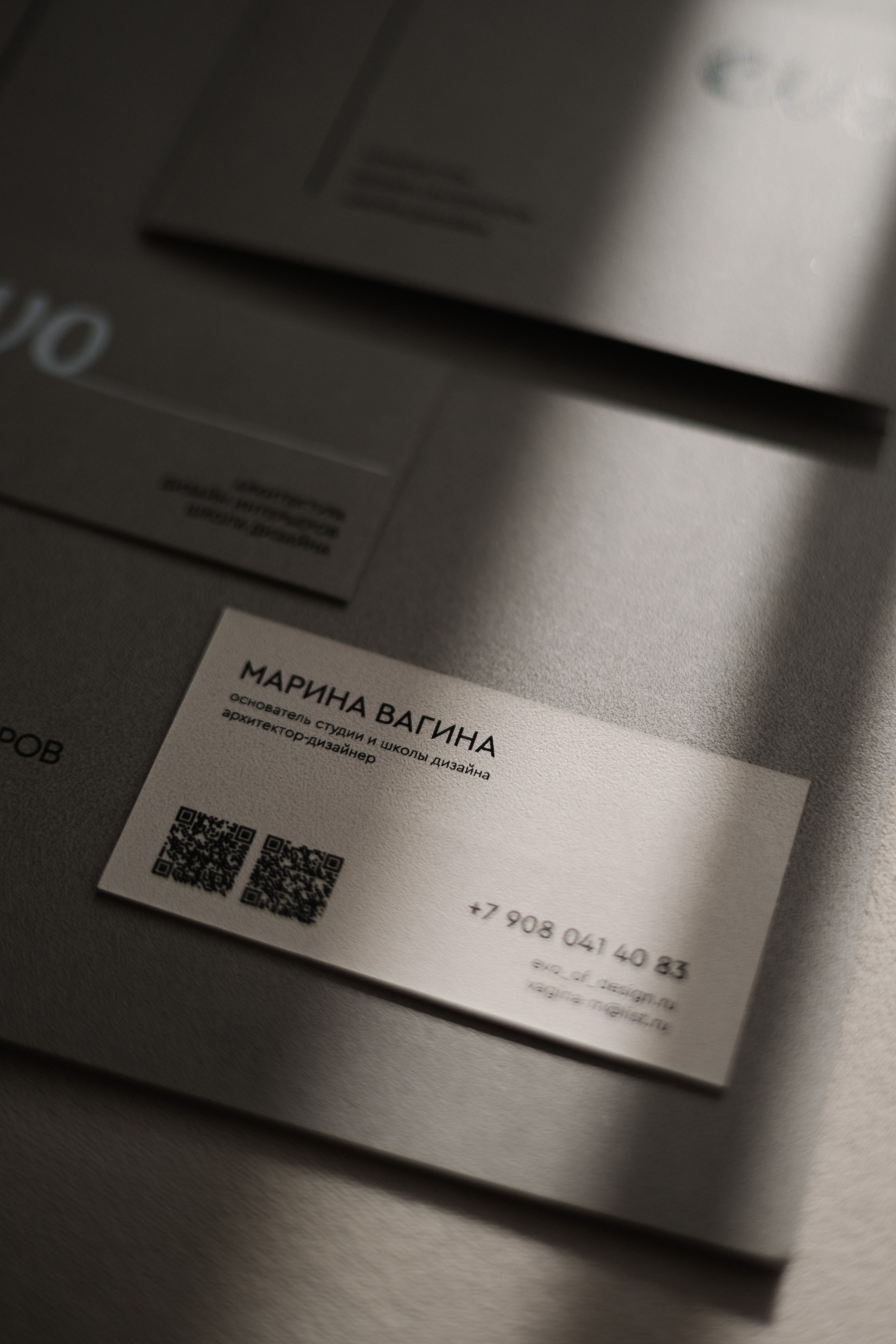 EVO. Бренд-дизайнер Карина Цыганкова, Санкт-Петербург