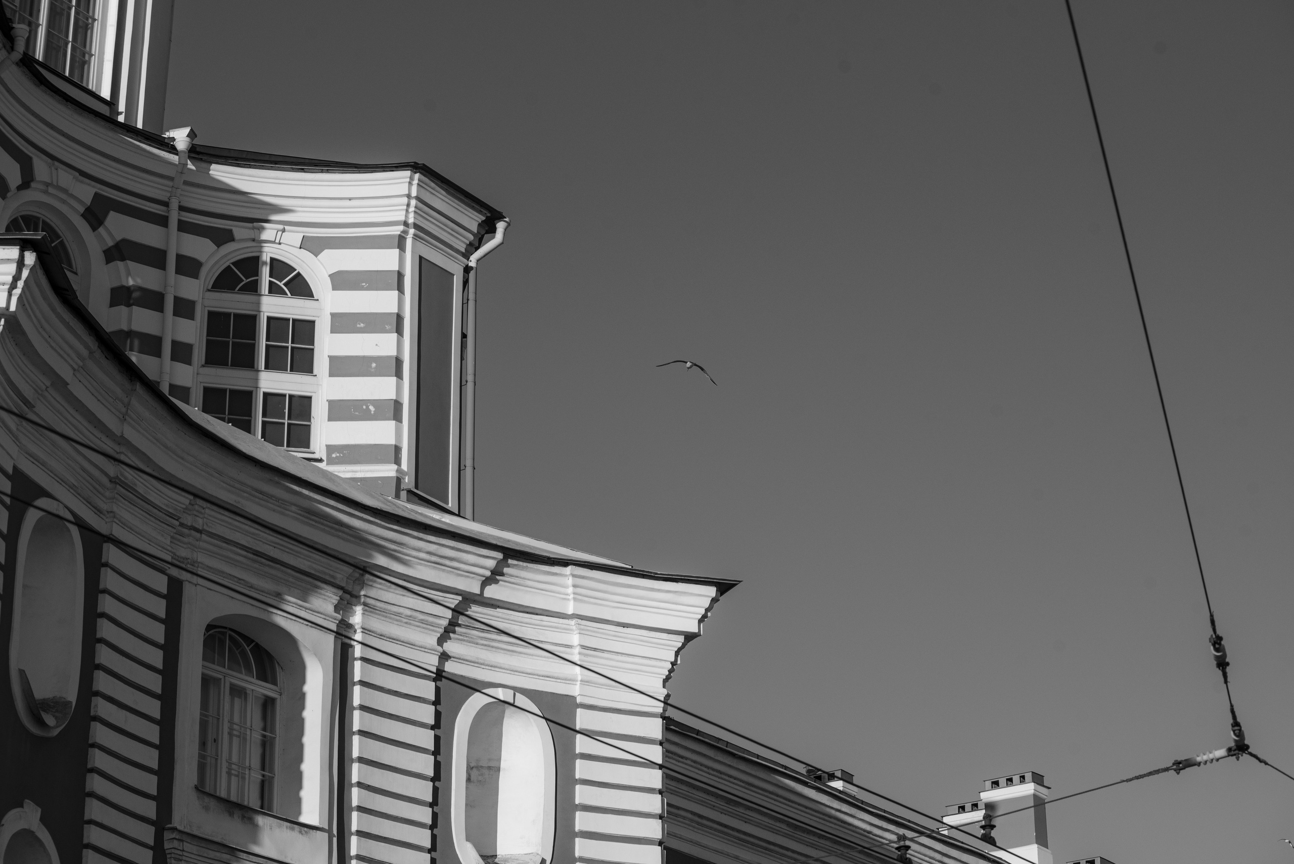 Санкт Петербург. Фотограф Милена Яновска