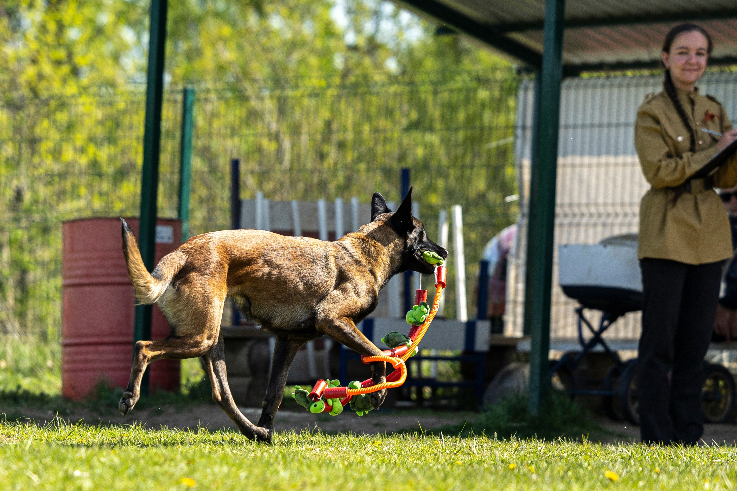 Испытания по мондьорингу в Нижнем Новгороде. Фотограф-анималист Анна Маринич