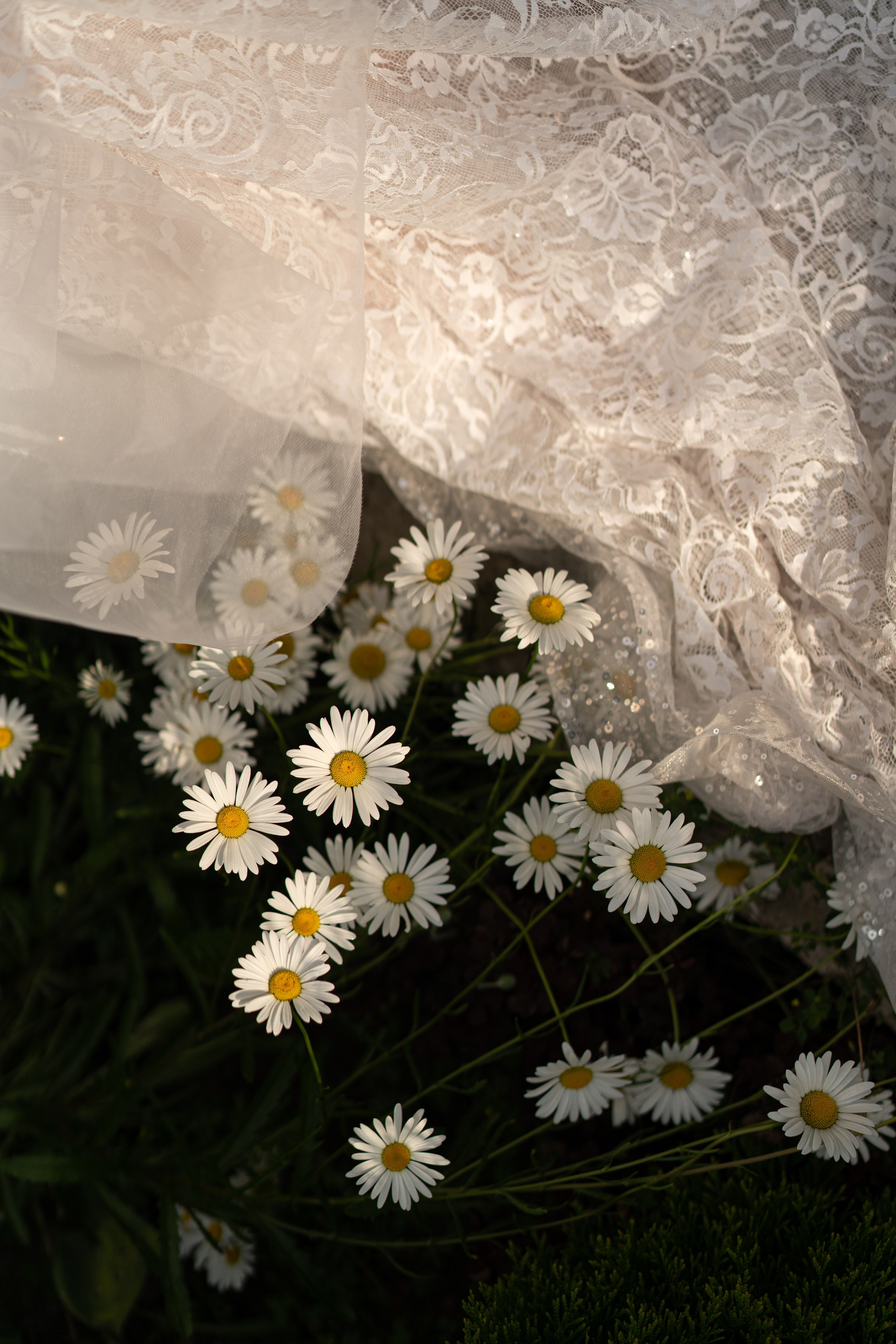 Элегантная свадьба с яркой фудфлористикой. Свадебный организатор Марина Корсакова, Барнаул, Бийск, Алтайский край, Горный Алтай, Новосибирск