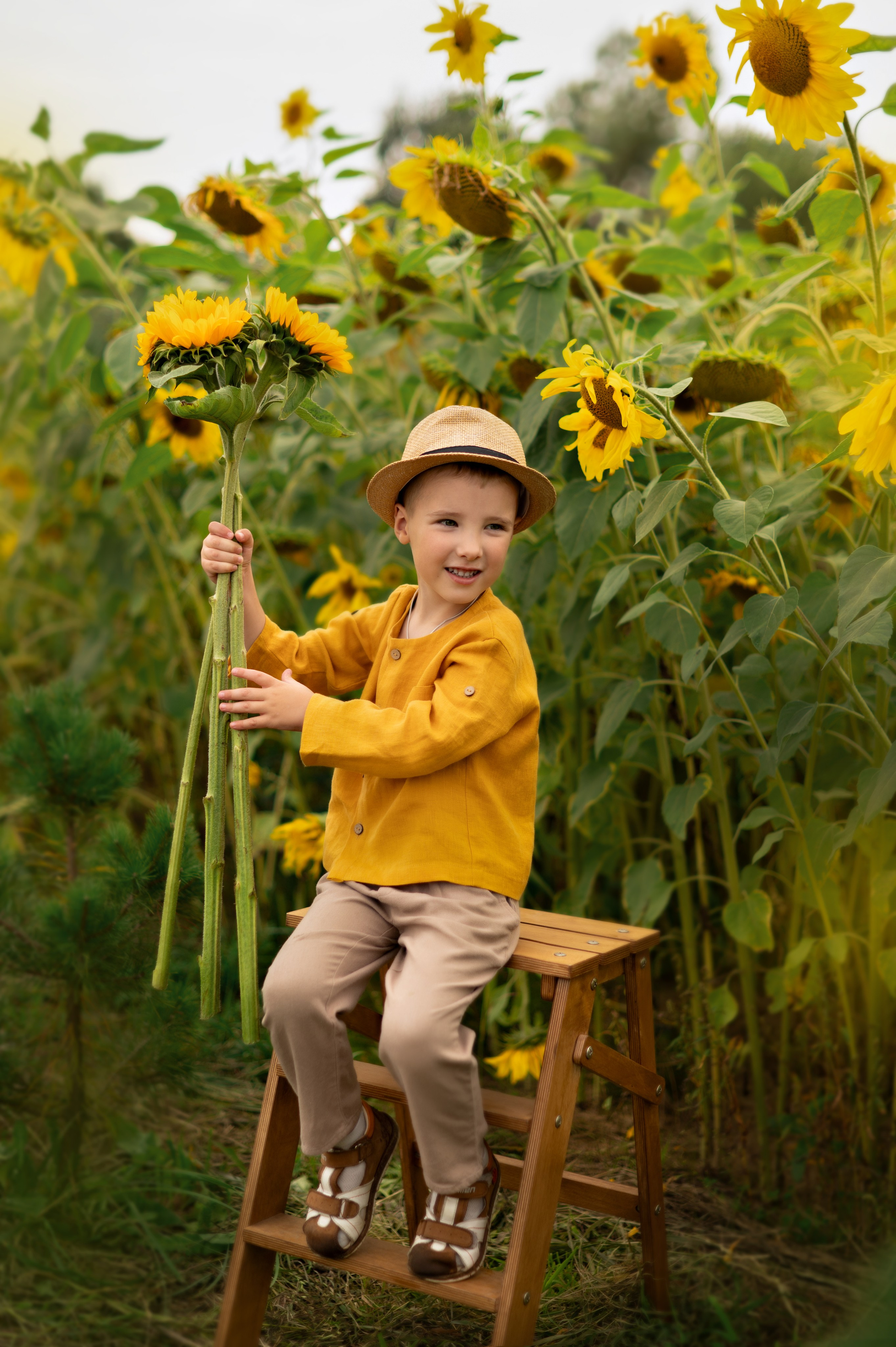 Подсолнухи. Детский и семейный фотограф г. Москва Оксана Катаджи