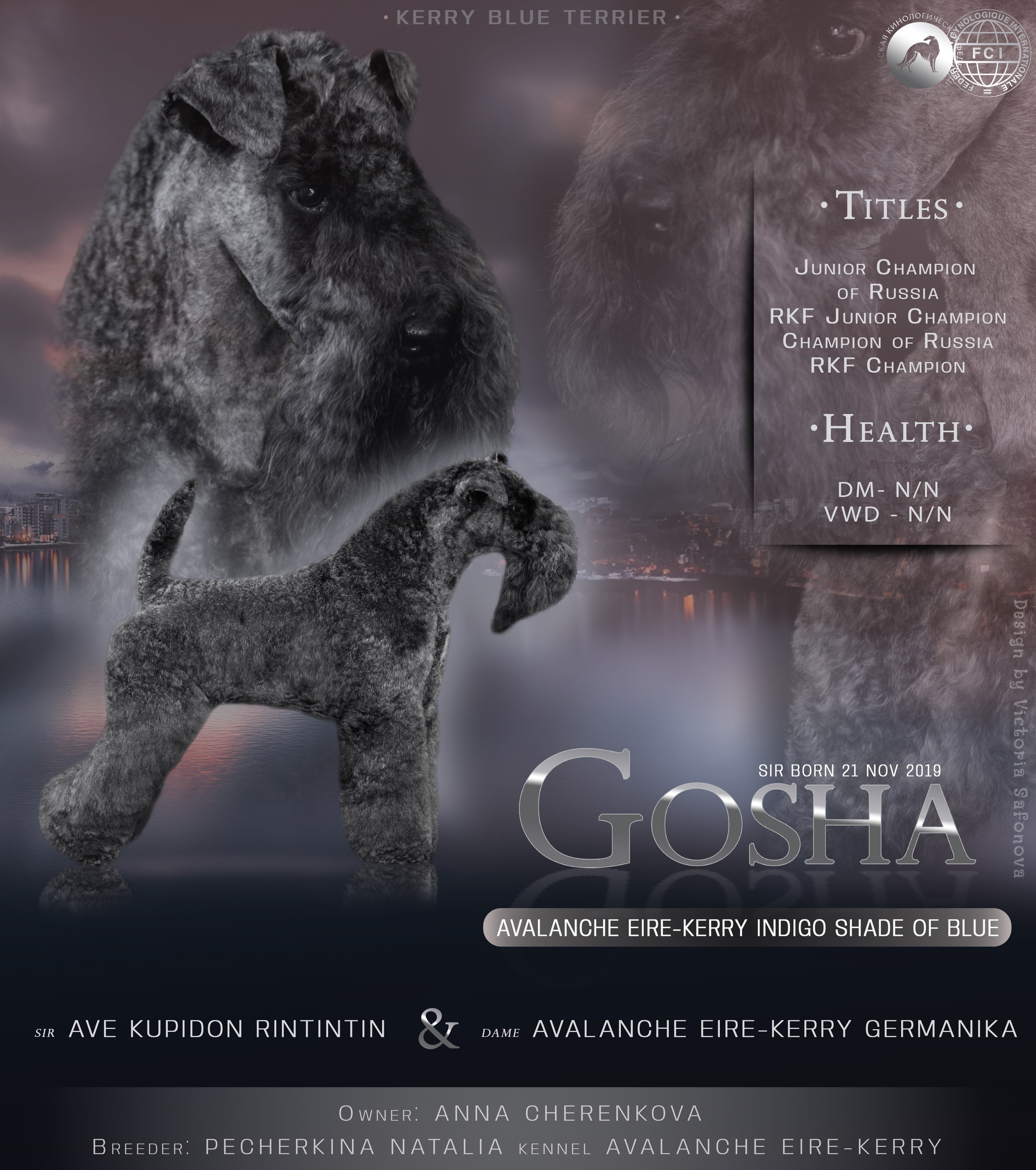 Презентации производителей. Фотограф анималист Благовещенск. Сафонова Виктория