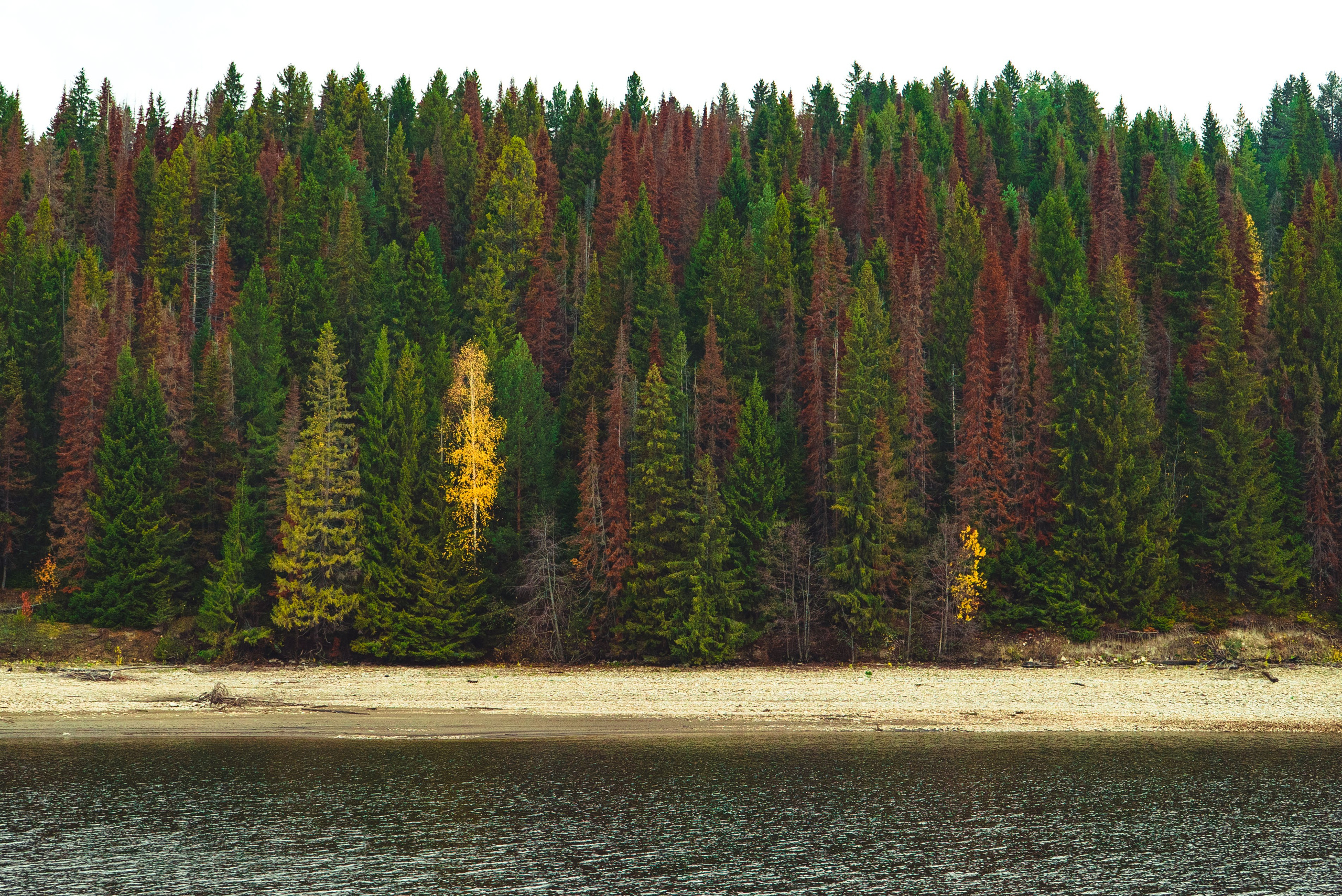 Фотографии Природы Урала, Пермского края, Хохловка. Мари Линёк-Стельмах Фотохудожник Санкт-Петербург/Урал