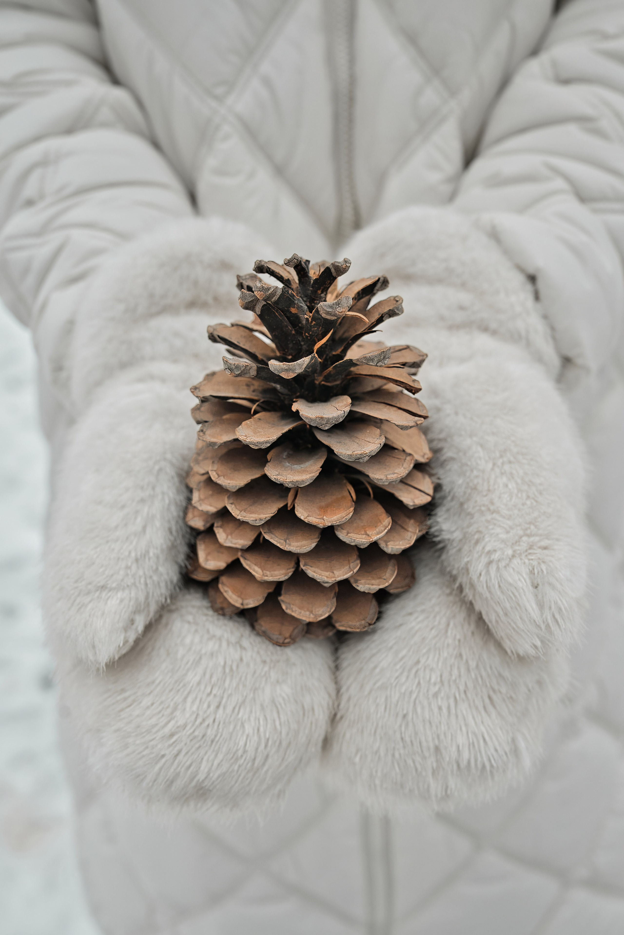 Морковное настроение. Фотограф Денис Кривопусков