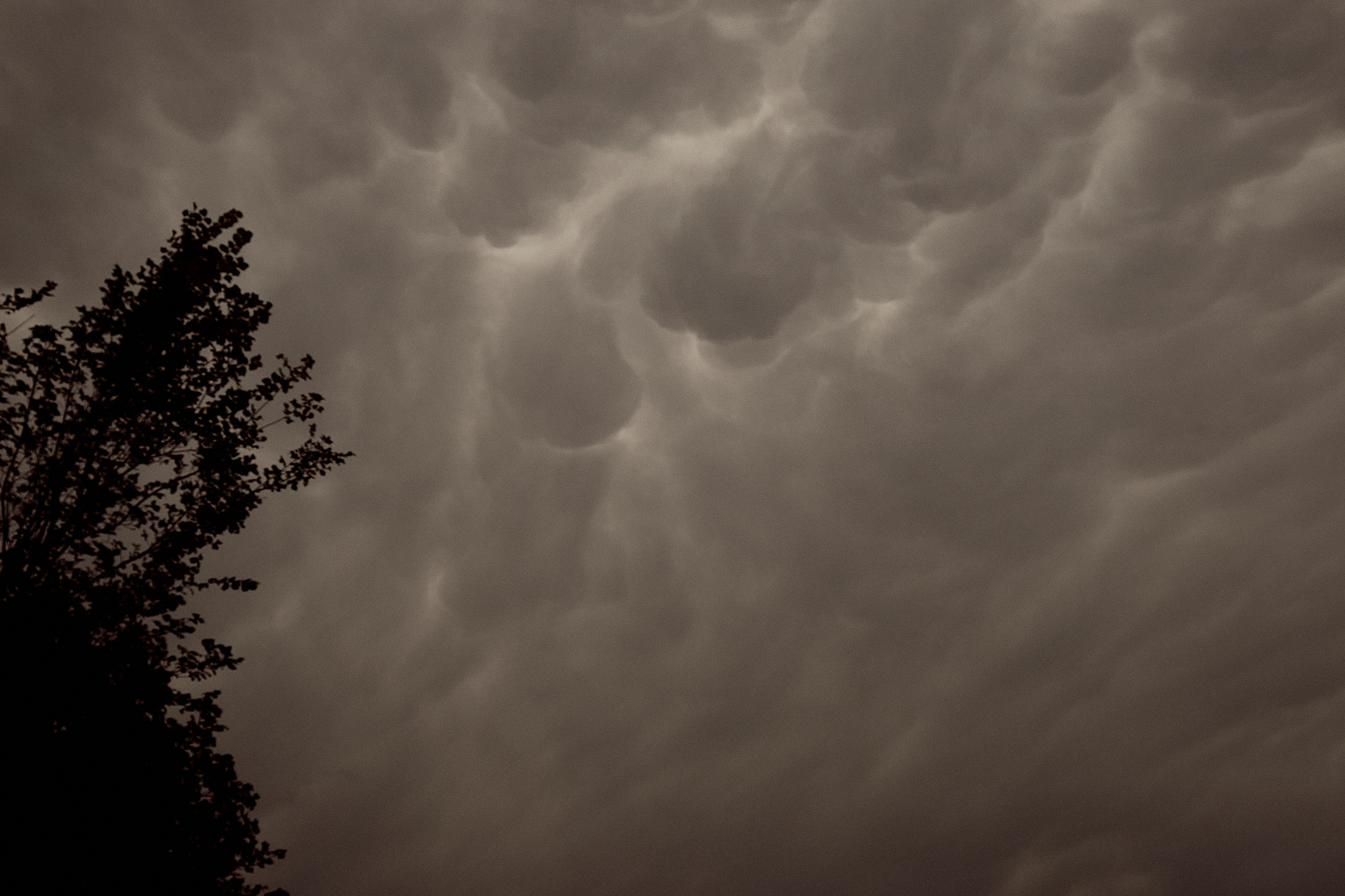 Свадьба Сергеи и Ольга. Свадебный и семейный фотограф в г. Камышин
