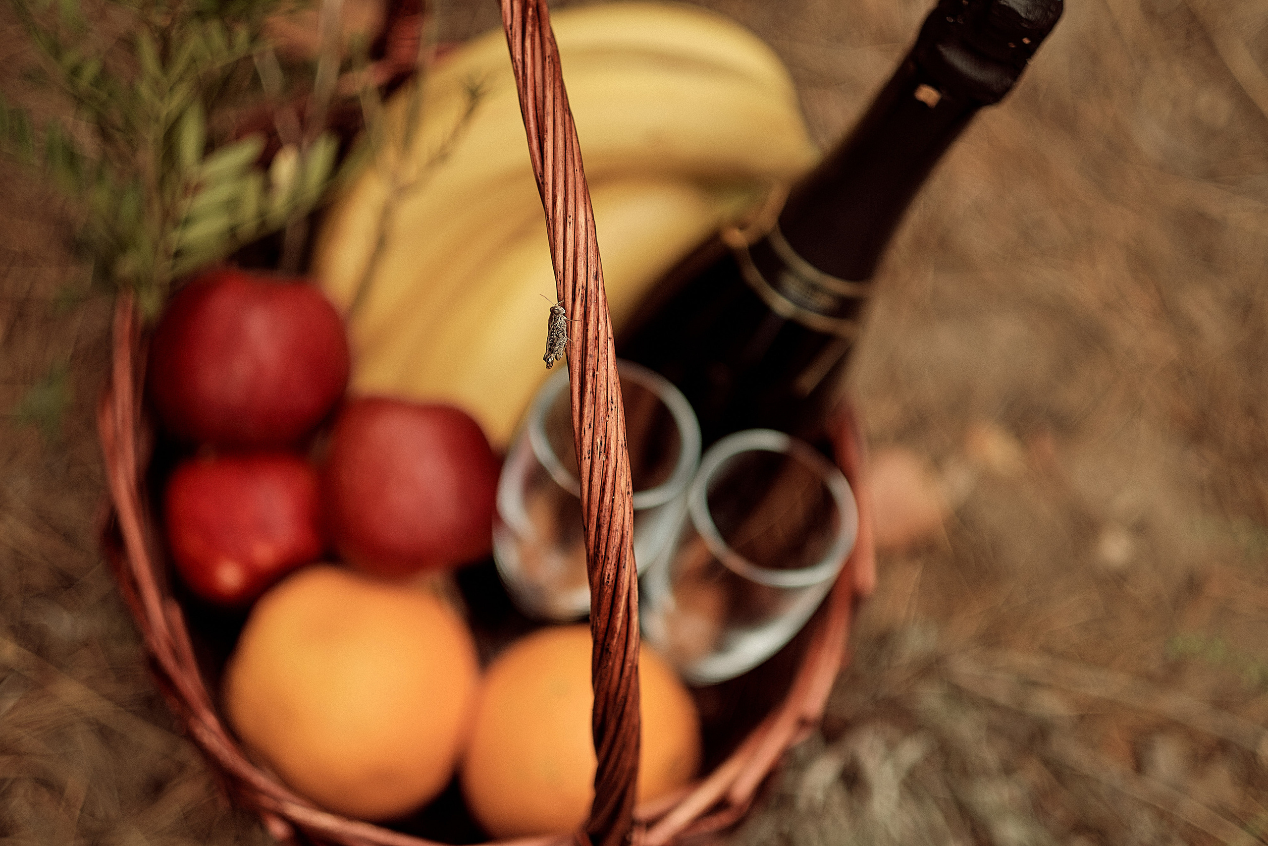 Свадьба Сергеи и Ольга. Свадебный и семейный фотограф в г. Камышин